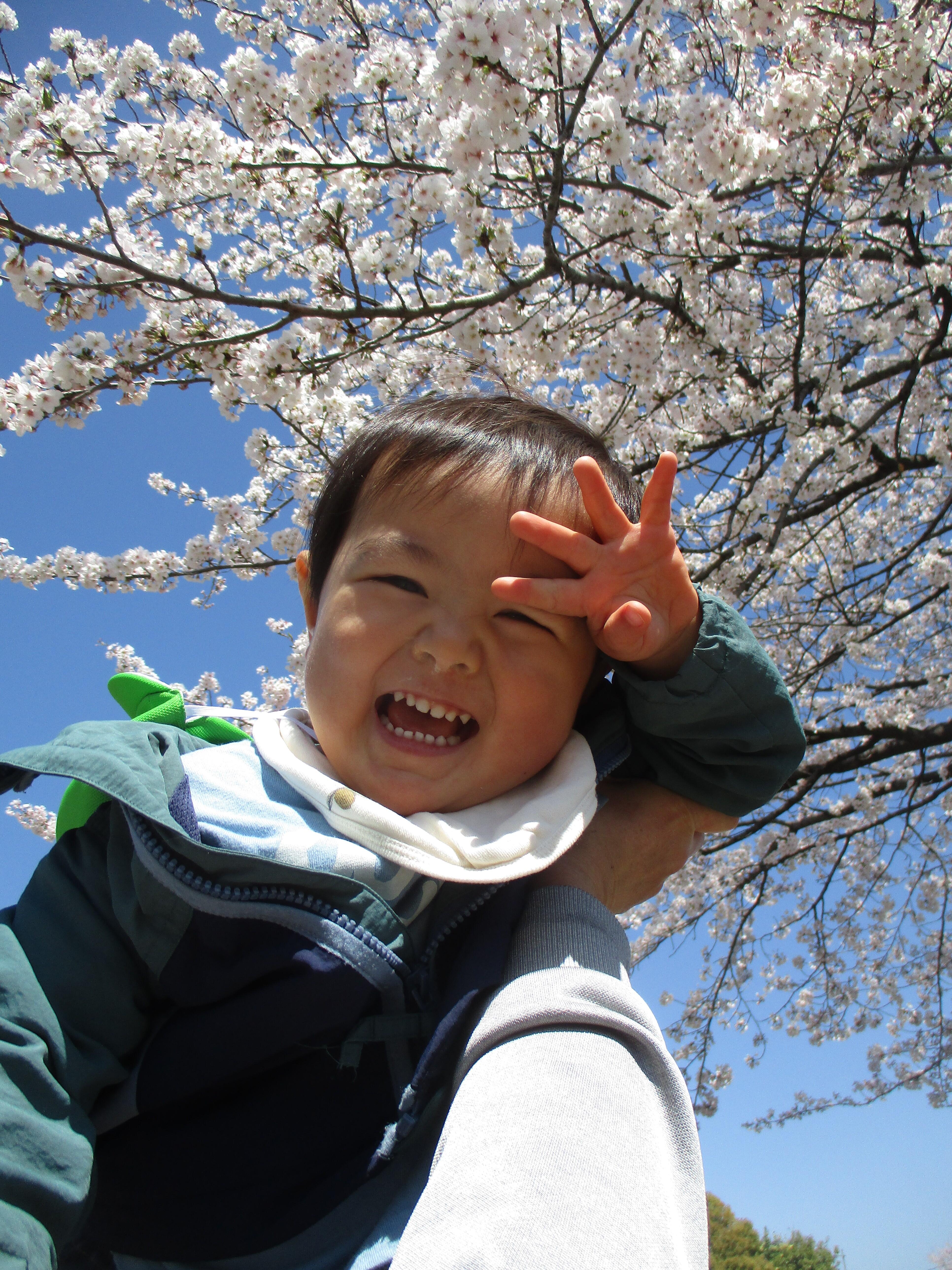 桜を背景にハイチーズ♪