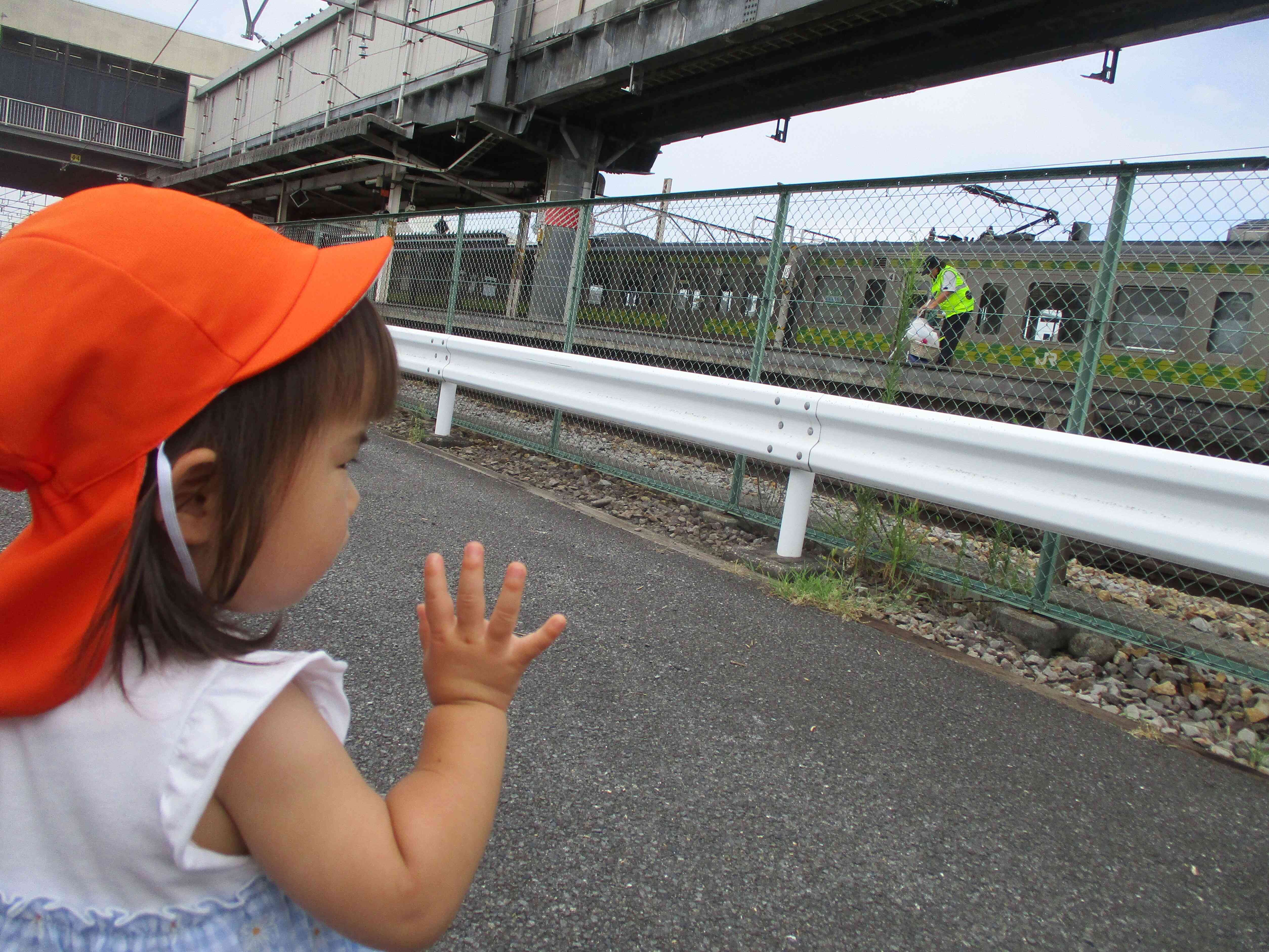 夏の戸外活動☀