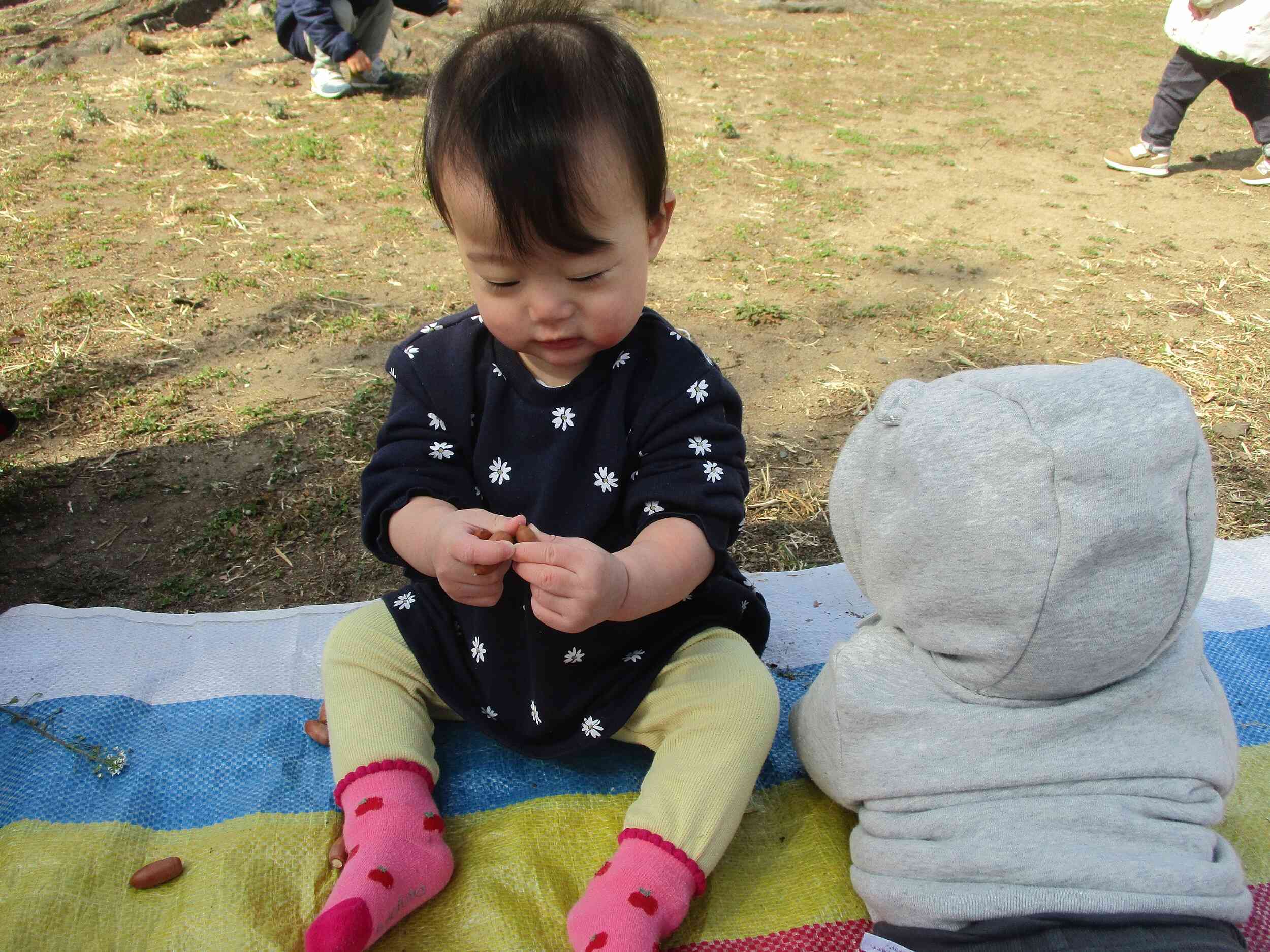 どんぐりが大好きです！