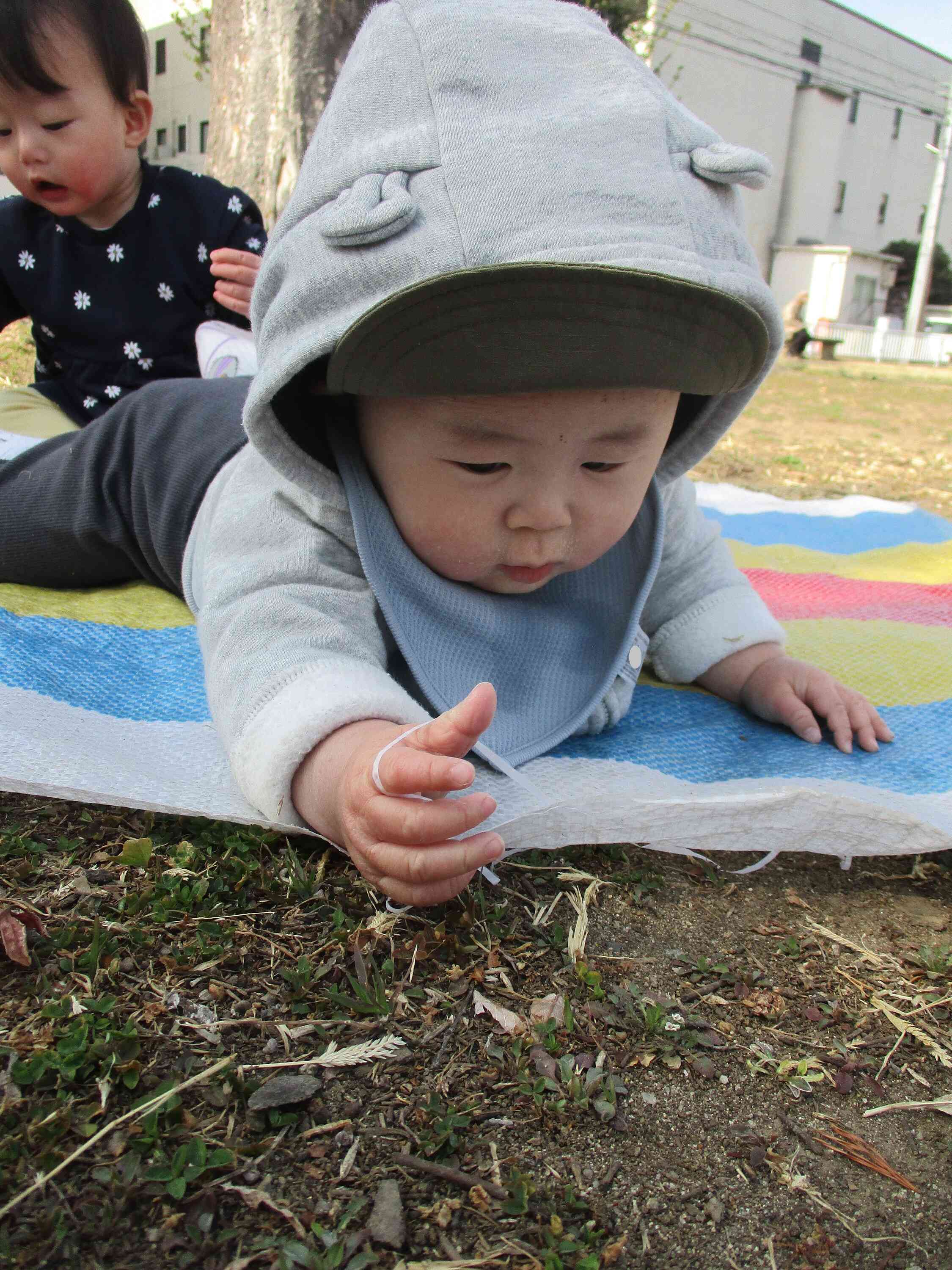 色々なものに興味津々です！