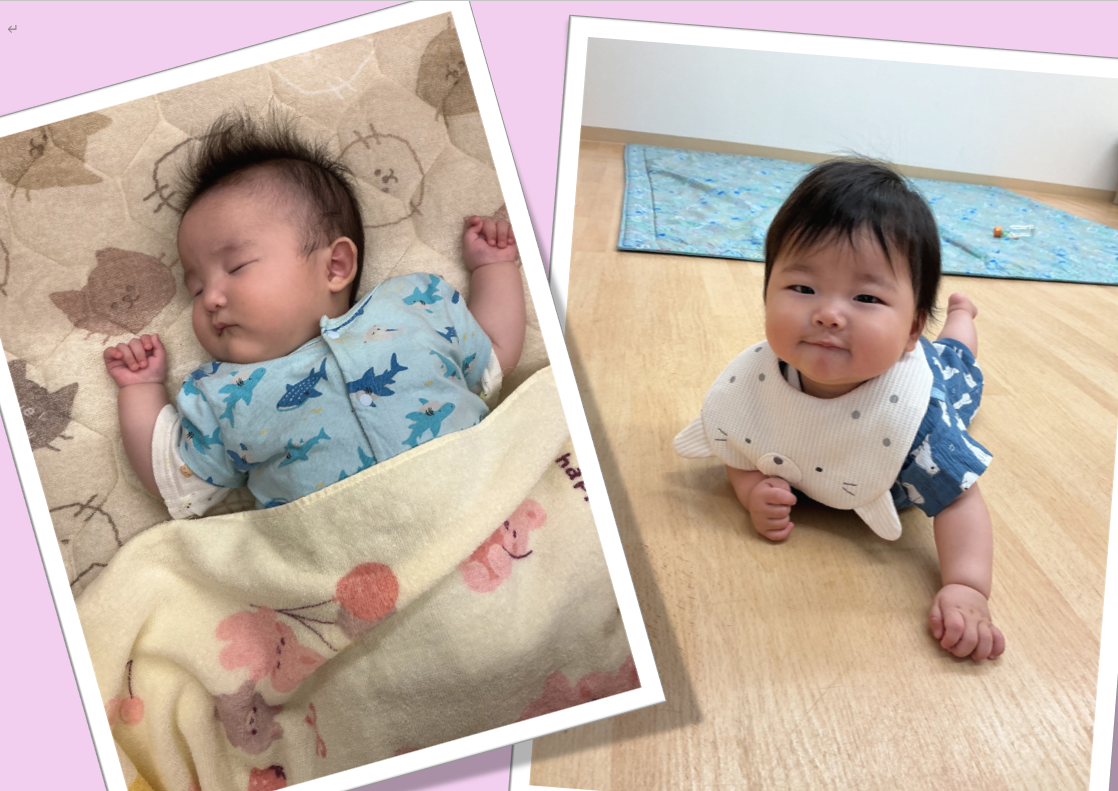 新しいお友達をご紹介します!