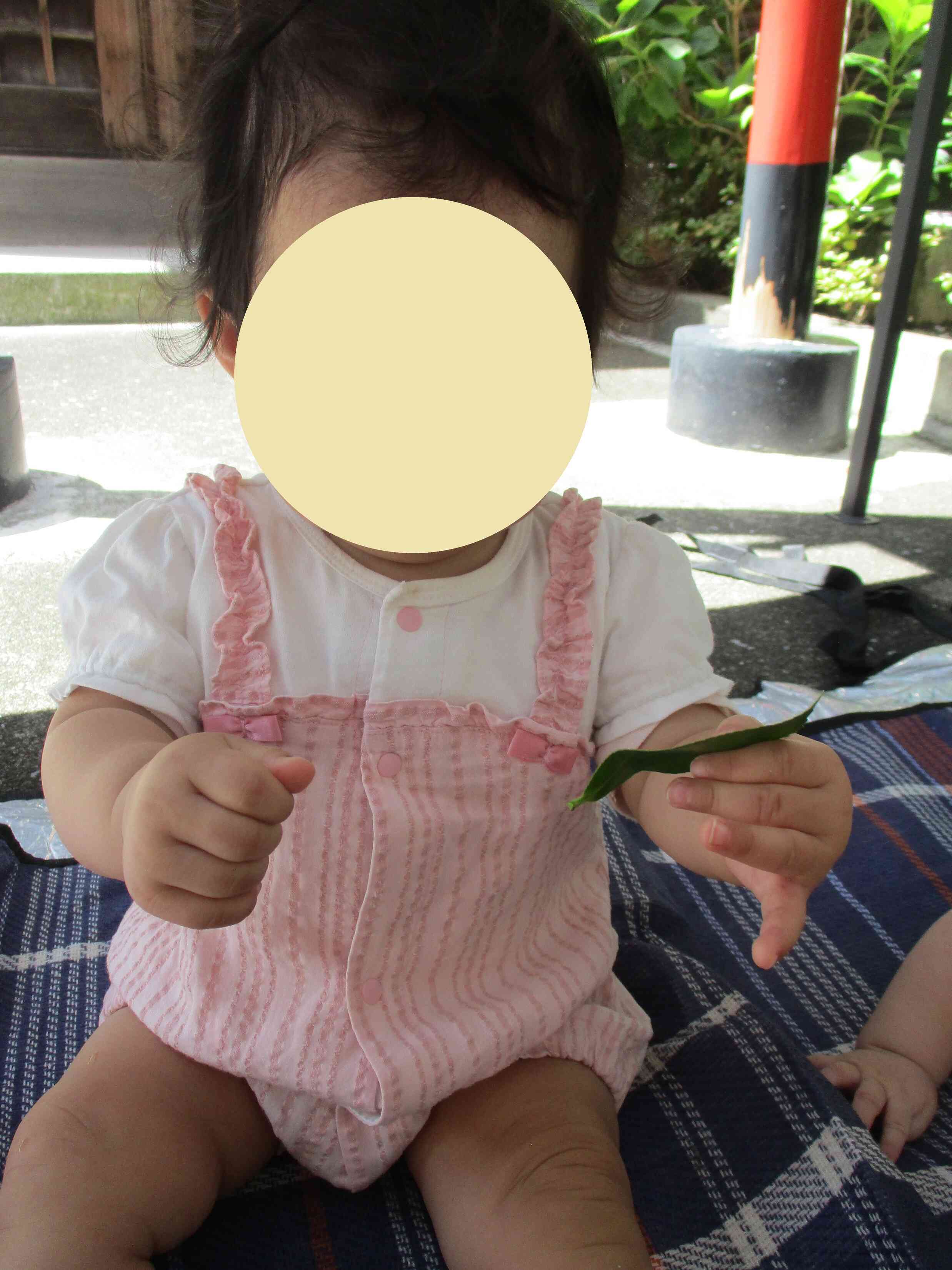 これはなんだ？？