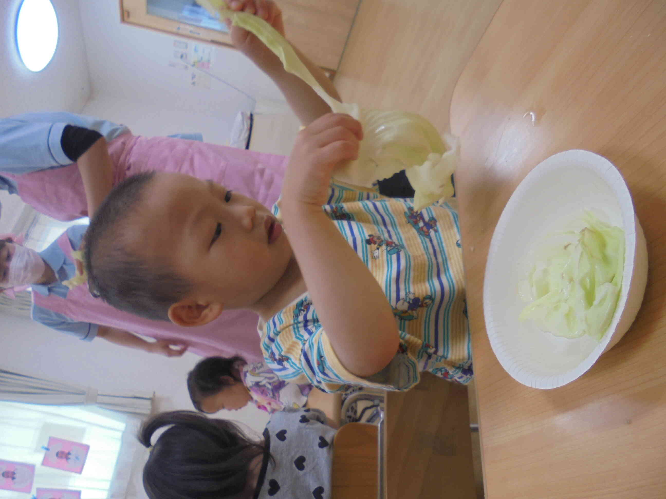 食育～キャベツちぎり～