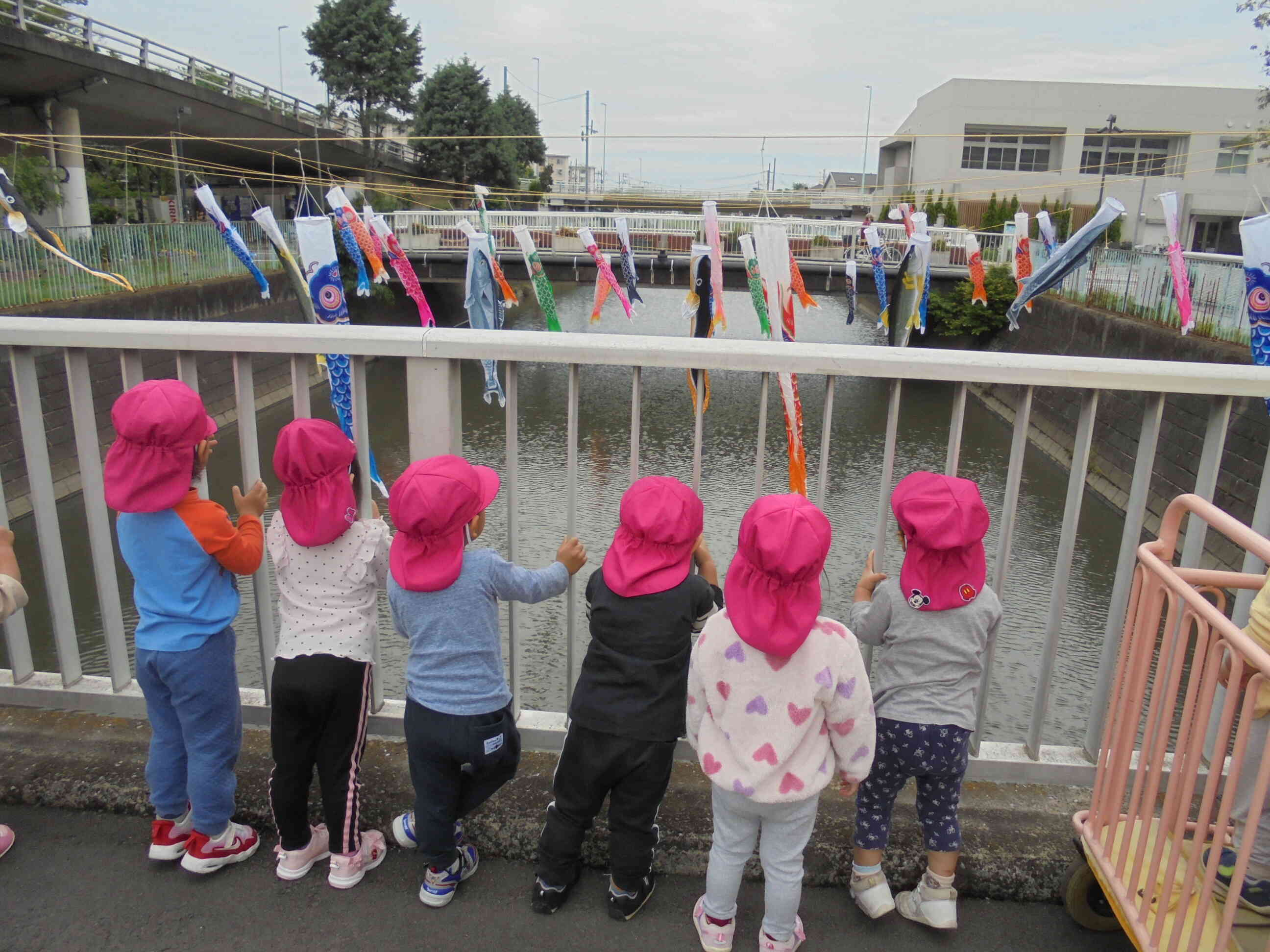 こいのぼりをみたよ♪