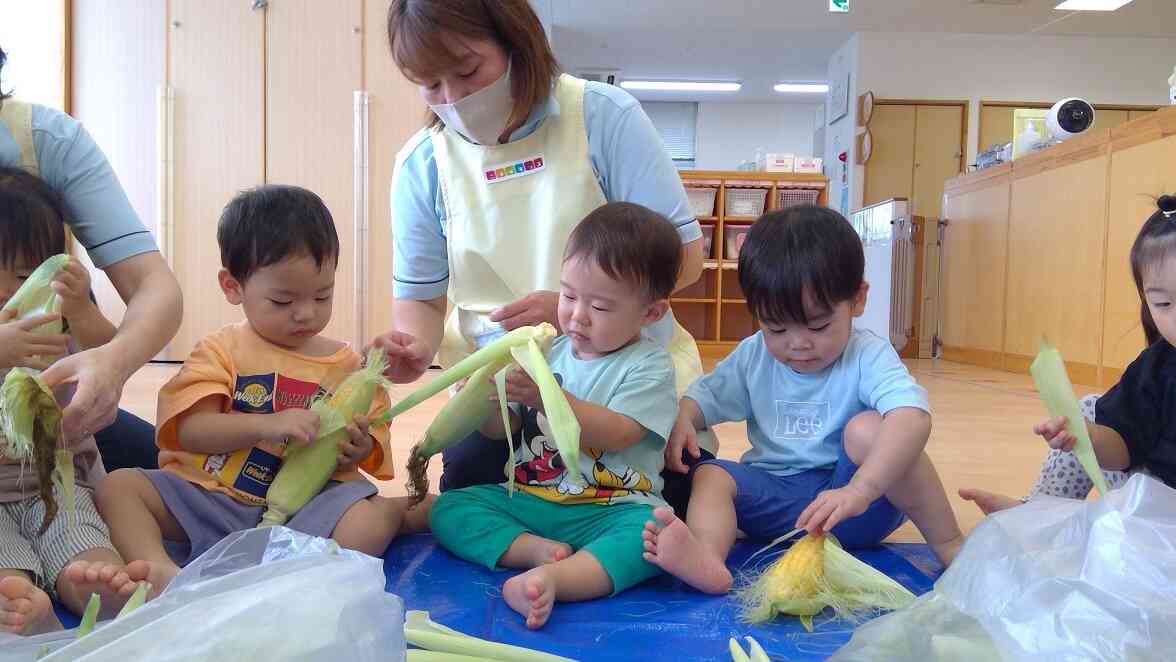 食育でトウモロコシの皮むき。