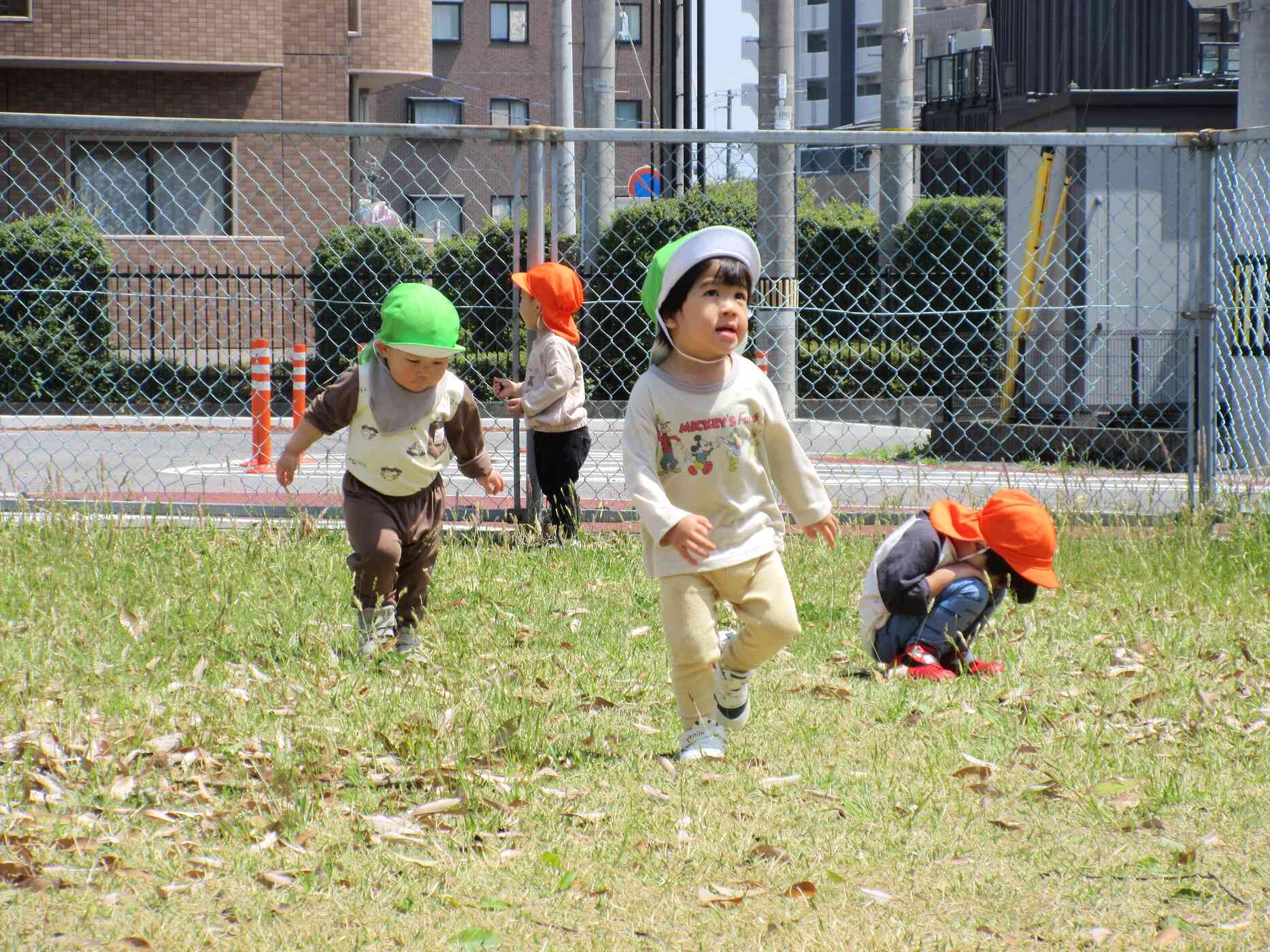 １歳児クラスのお友達もかけっこ頑張るよ！