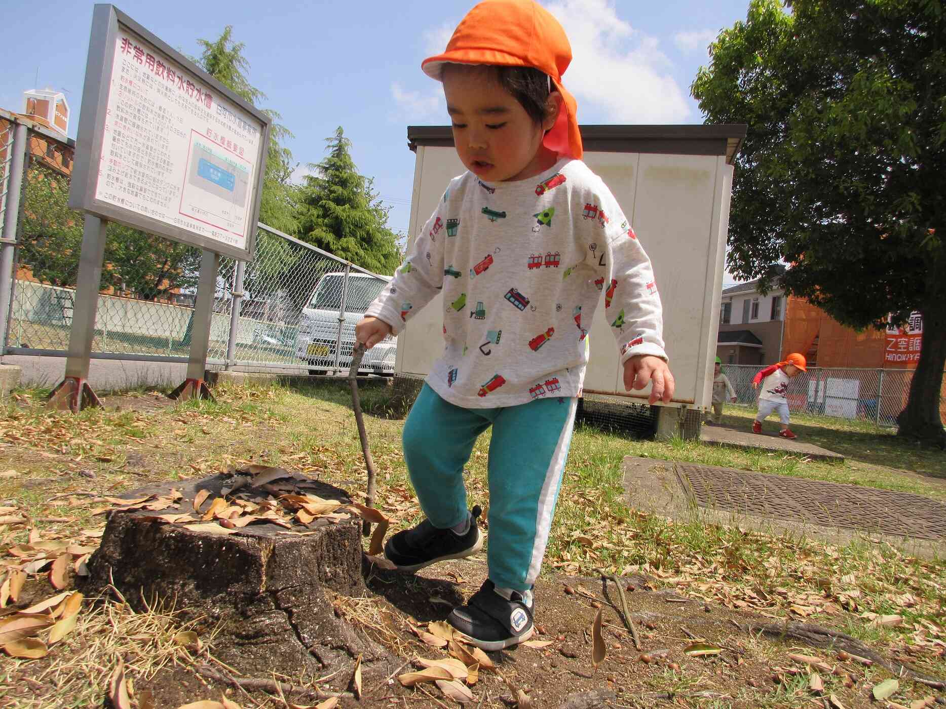 「木の上に葉っぱを集めるよ」