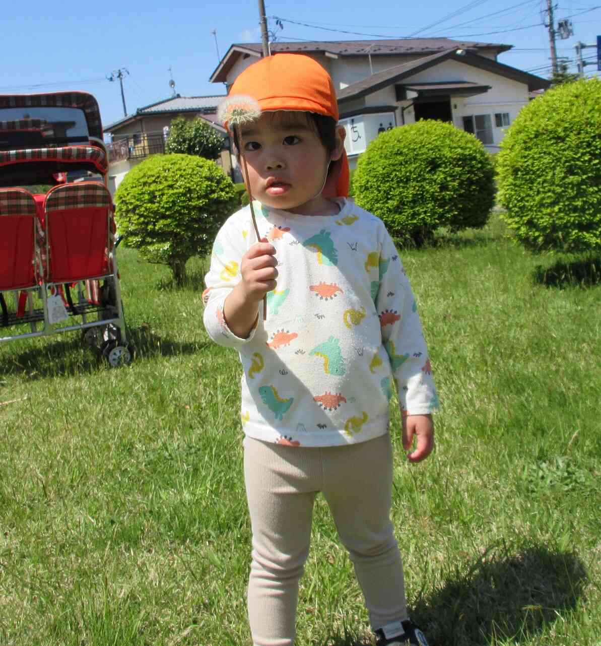 タンポポ見つけた。