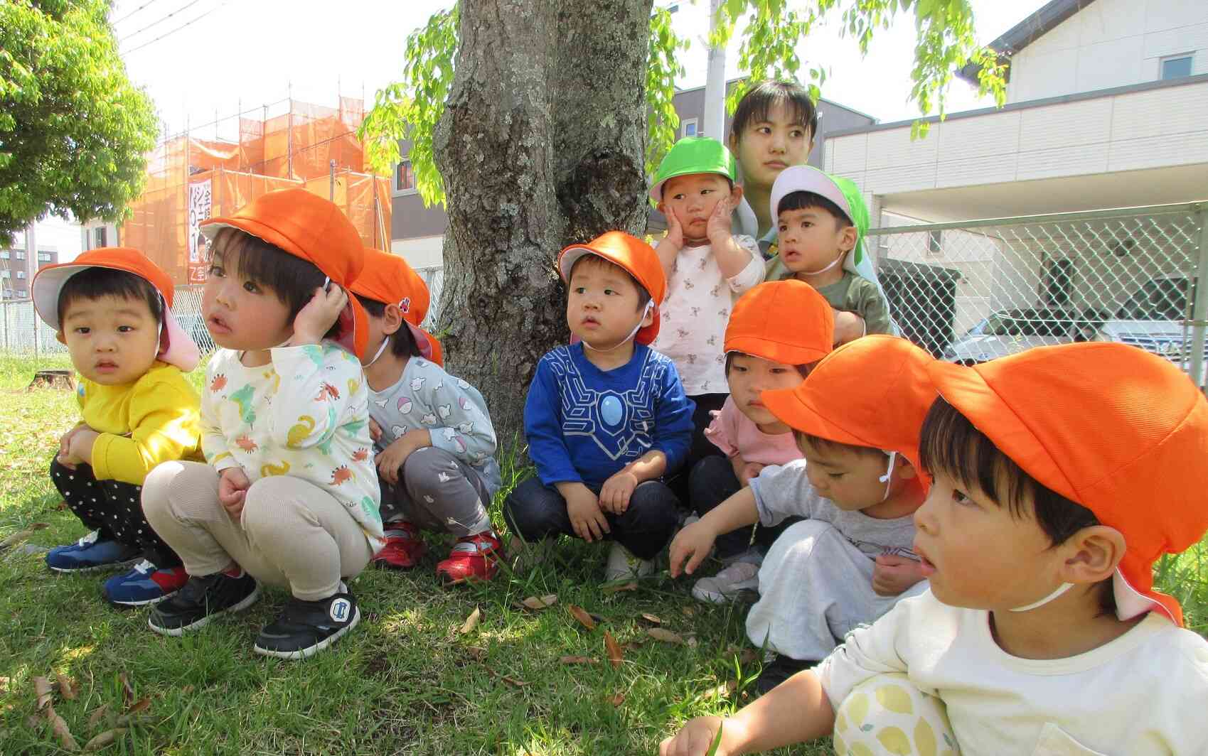 高山西公園【5/13】
