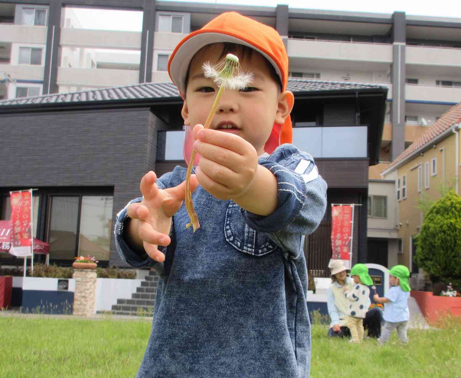 見てみて。