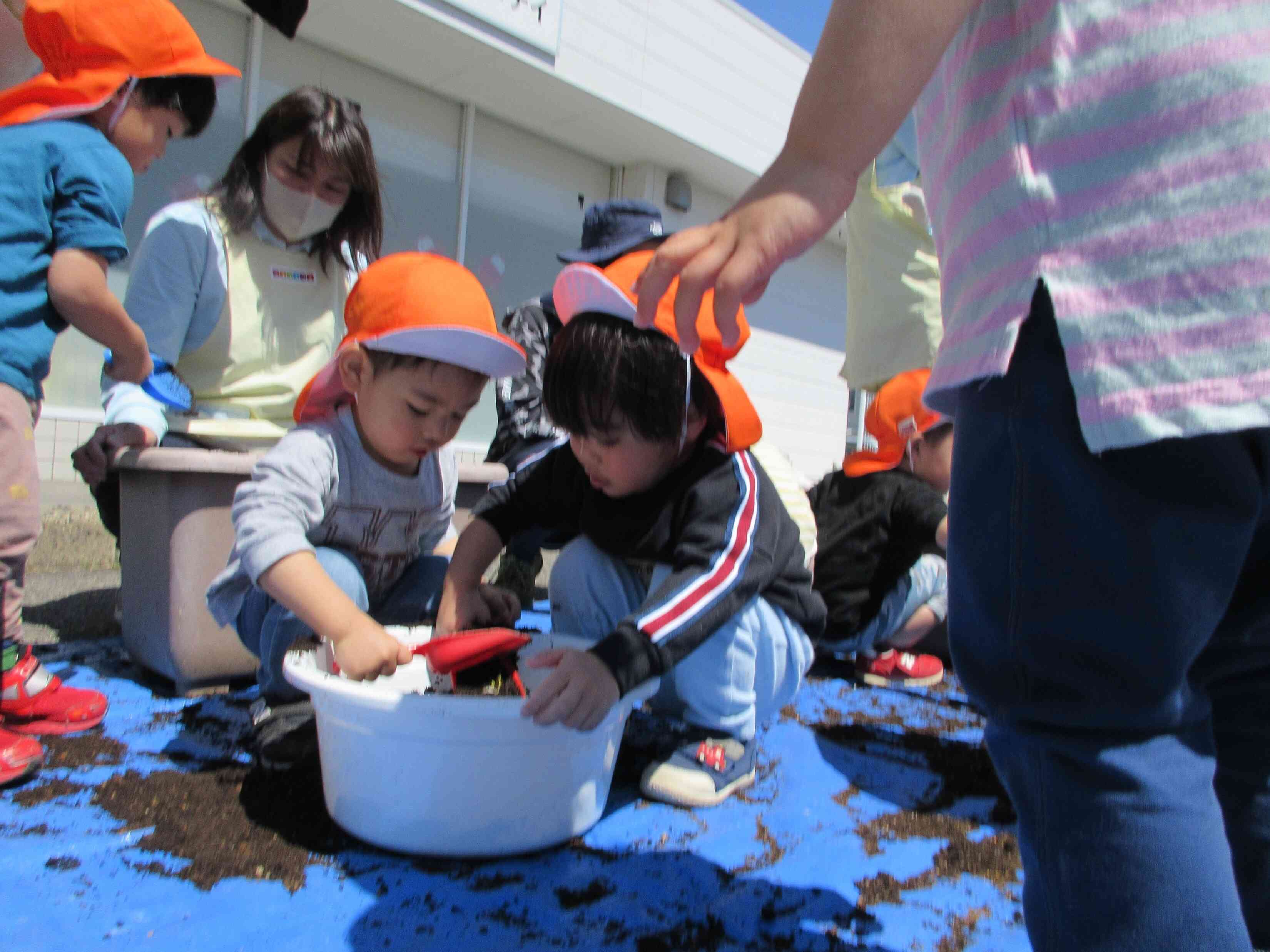 何か虫いるかなあ？