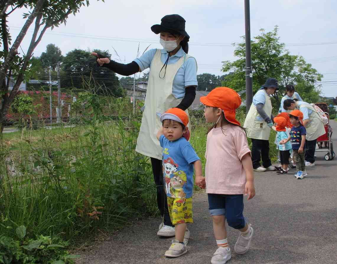 お散歩に行ってきます！