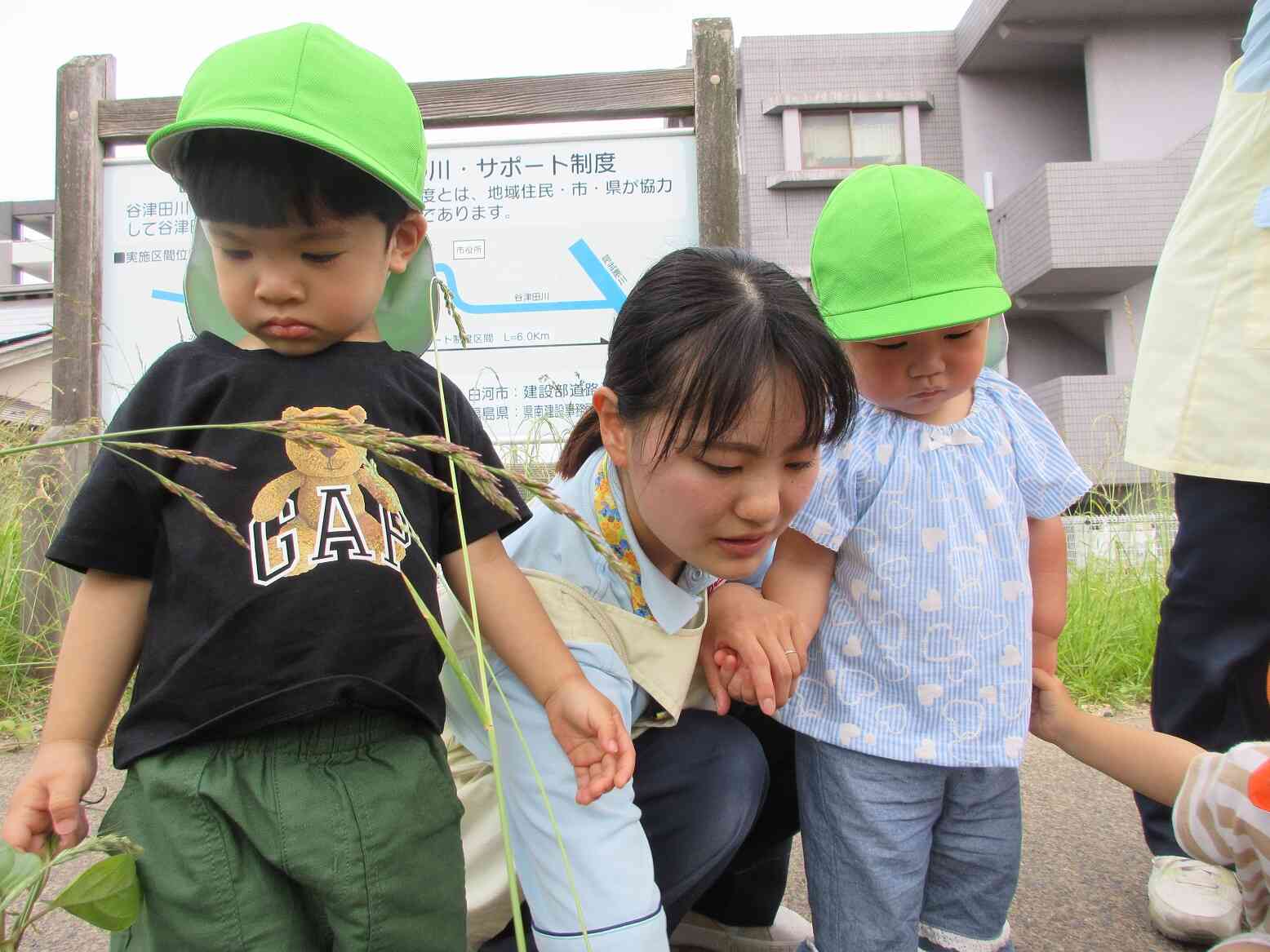 何かな?