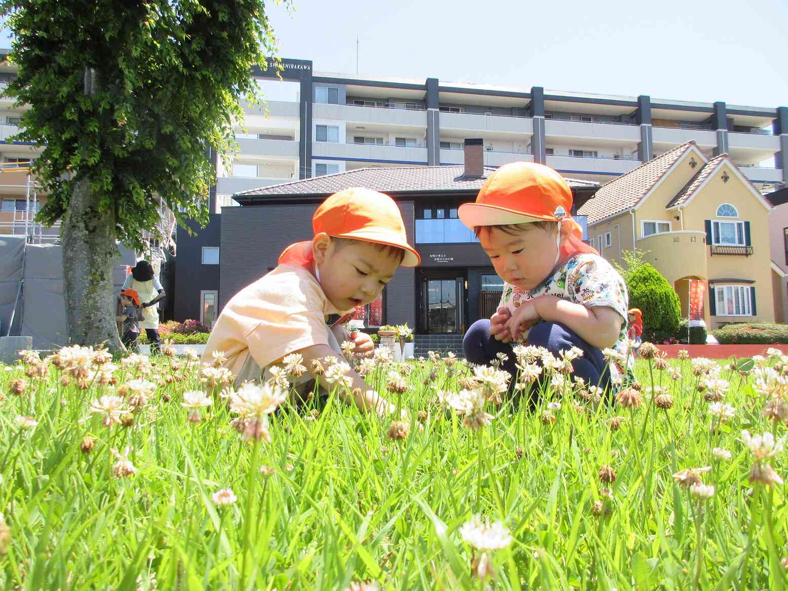 虫探し「ここにいるんだよ」