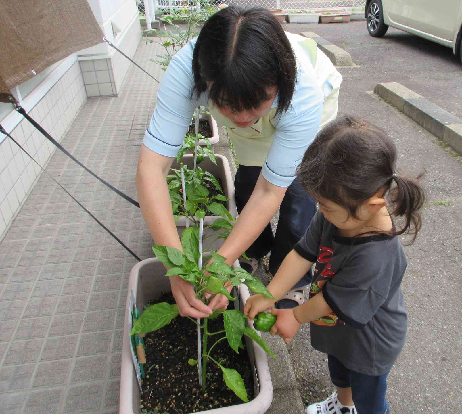 「これ、おおきいかな？」