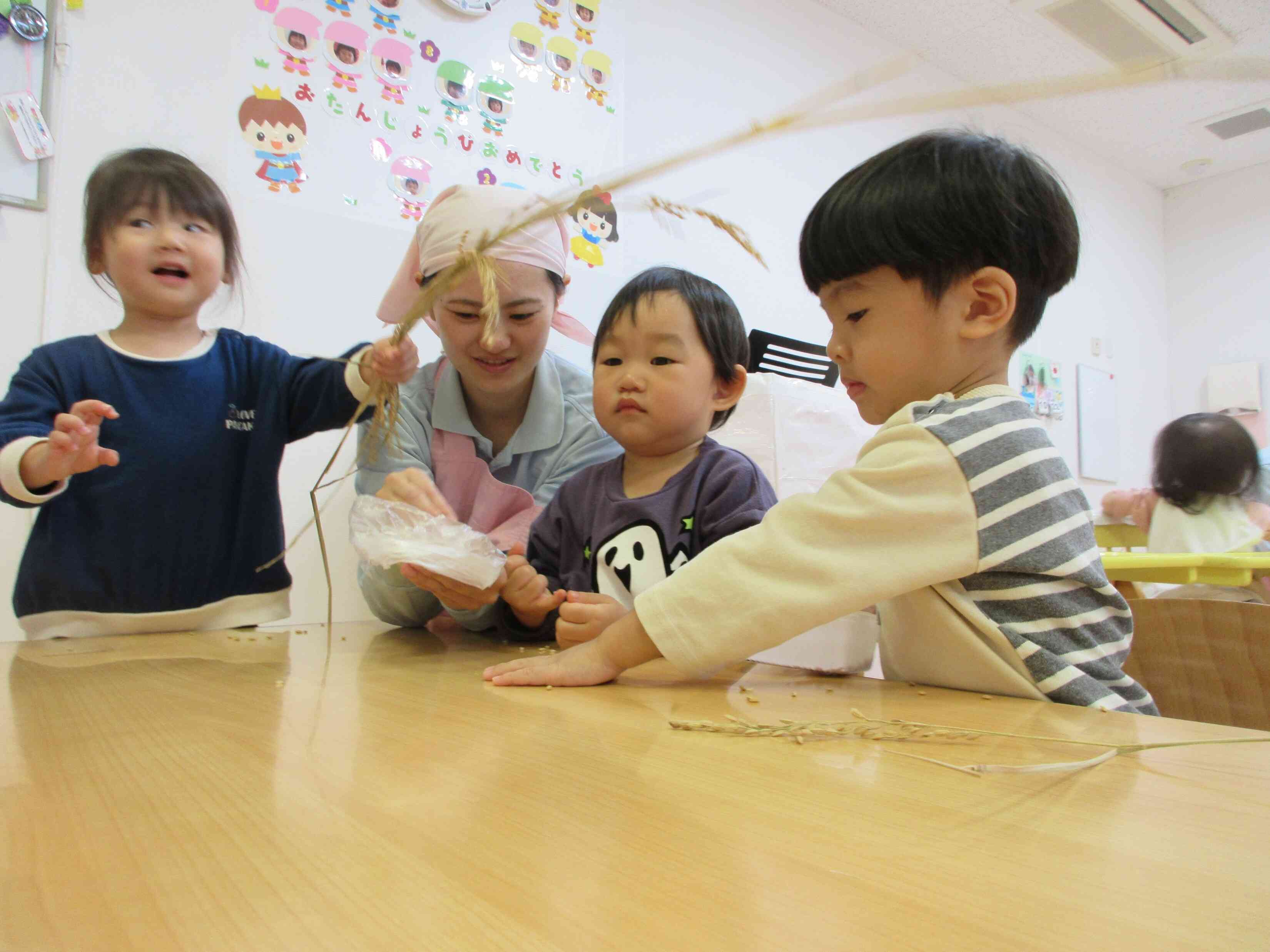 これがお米になるよ！