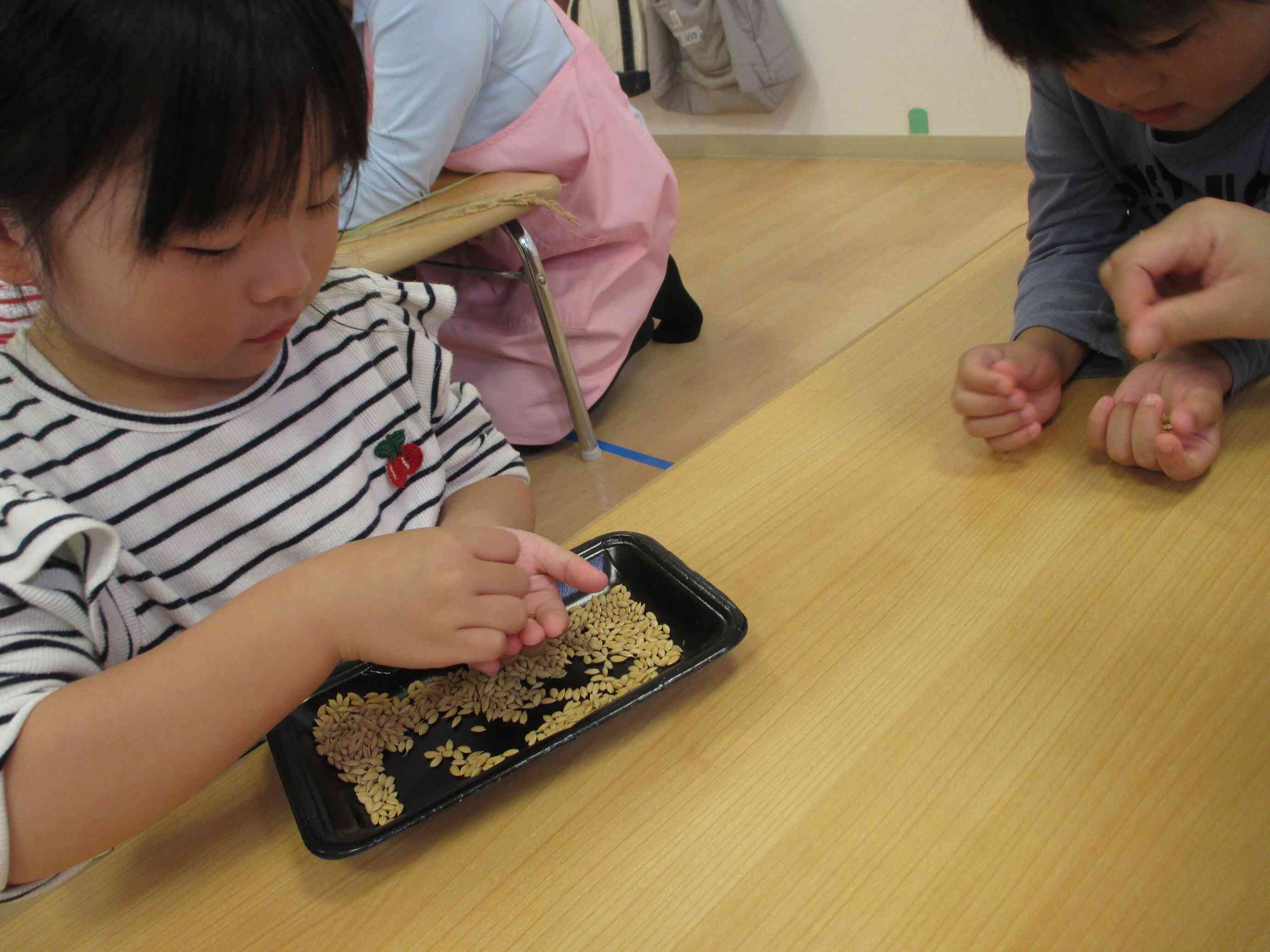 玄米にふれてみたよ！