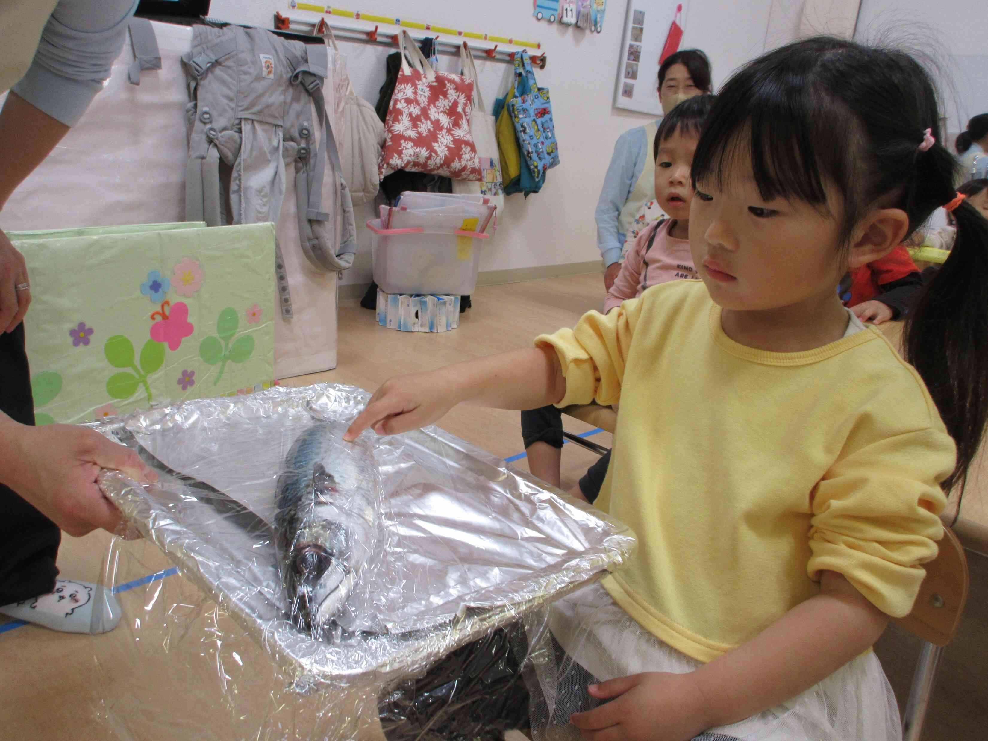 きれいな模様♡