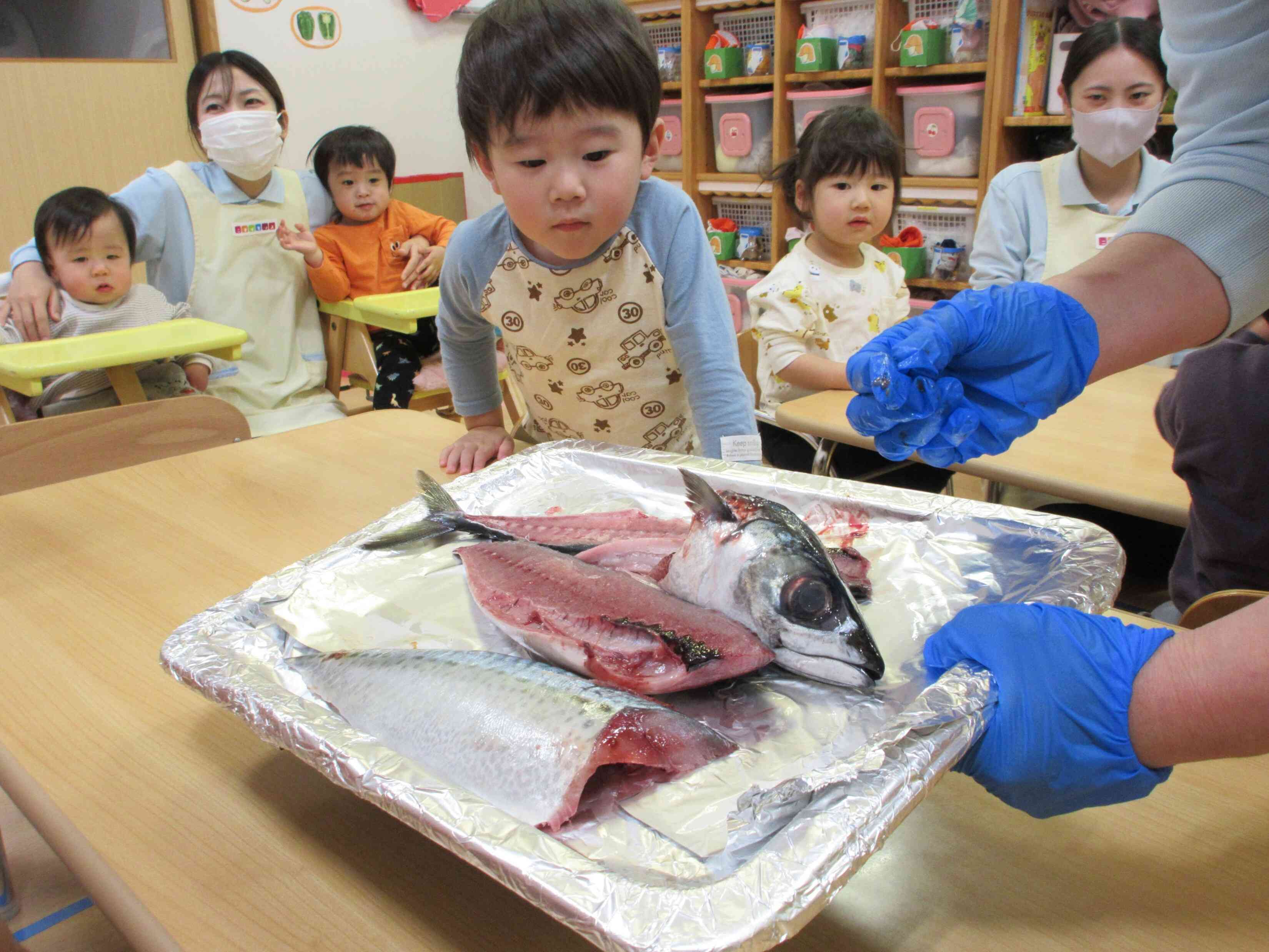 ☆食育☆魚を知ろう