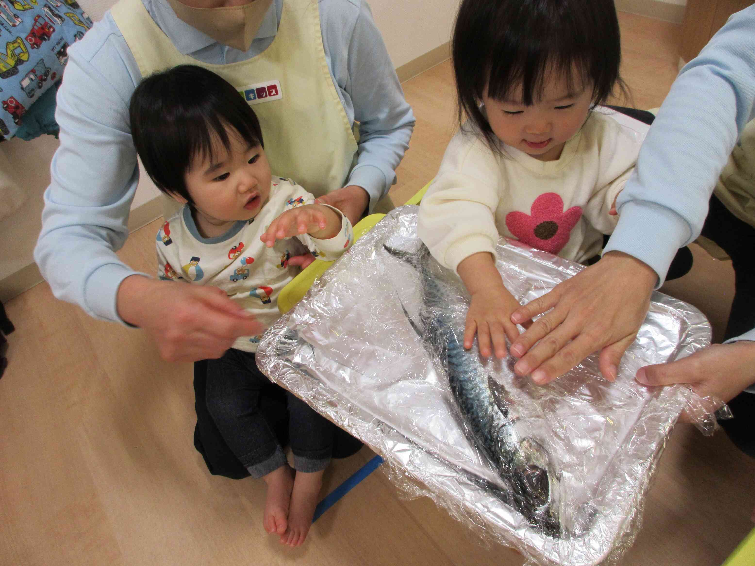 おさかなに触れてみたよ!