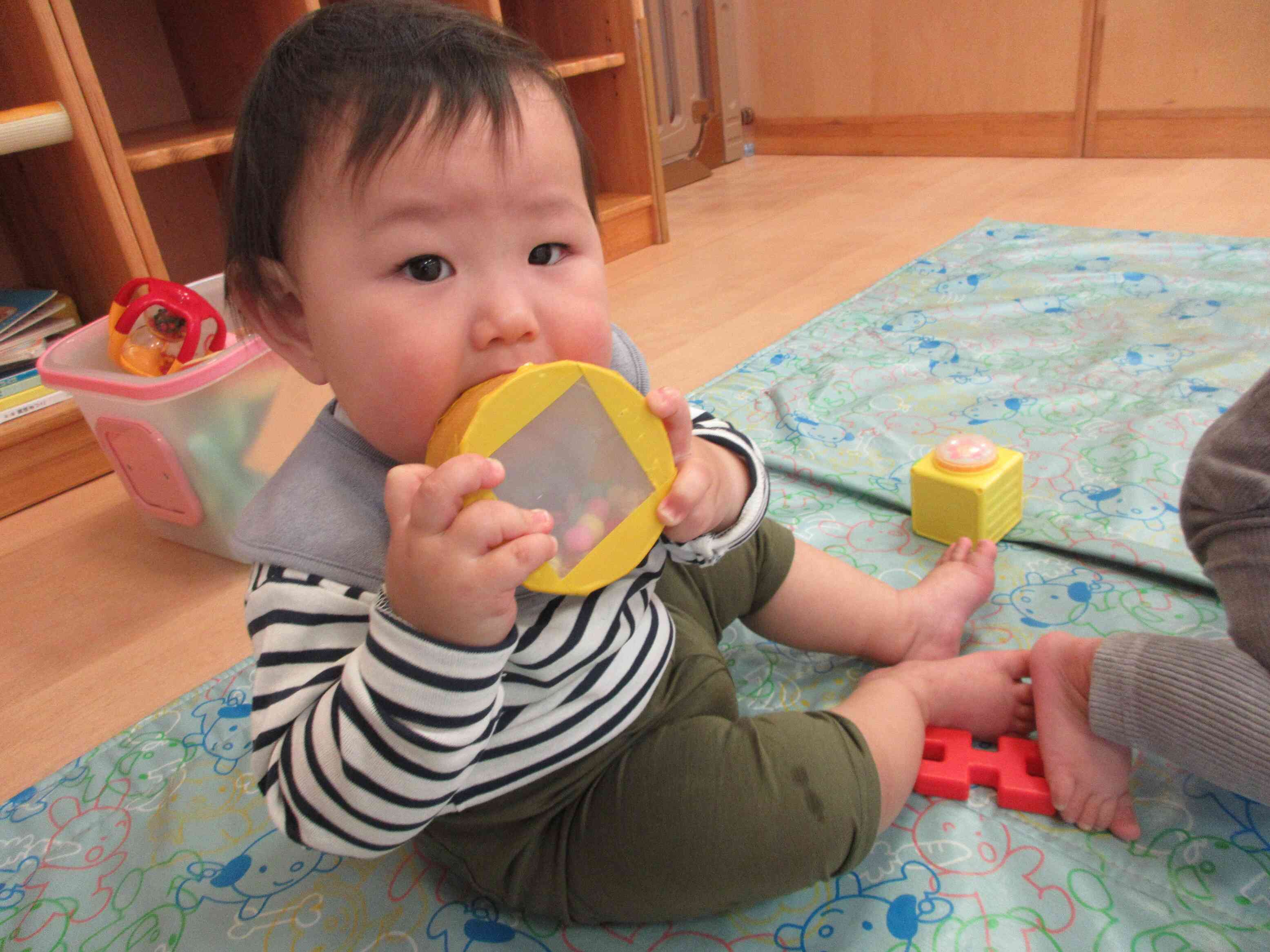 これはなんだろう？