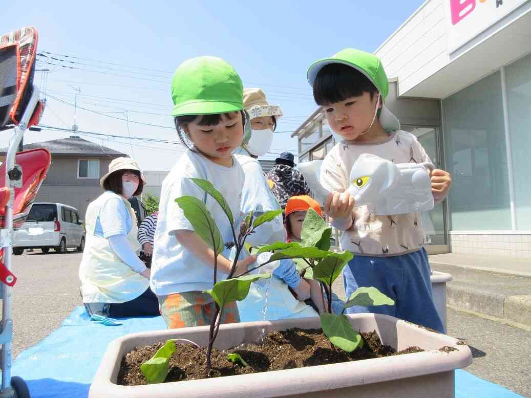 ☆食育☆