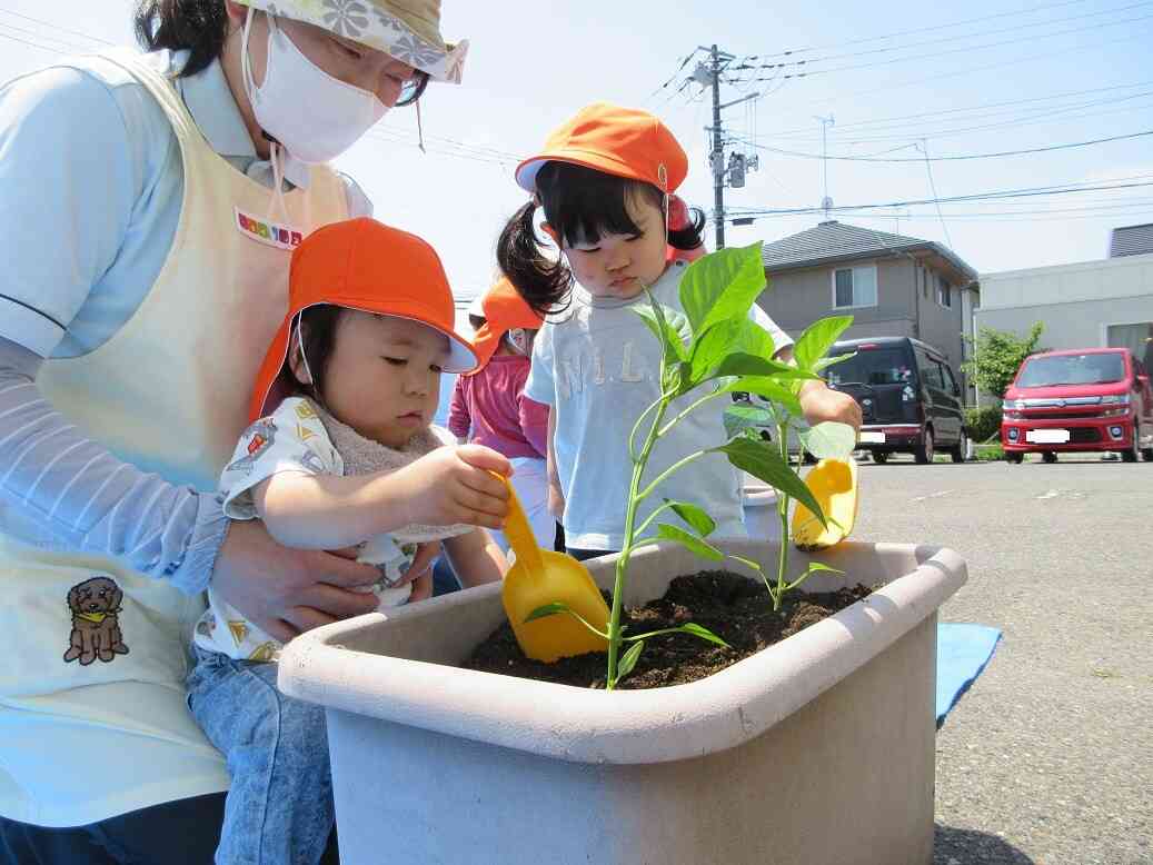 夏野菜の苗植えをしました！
