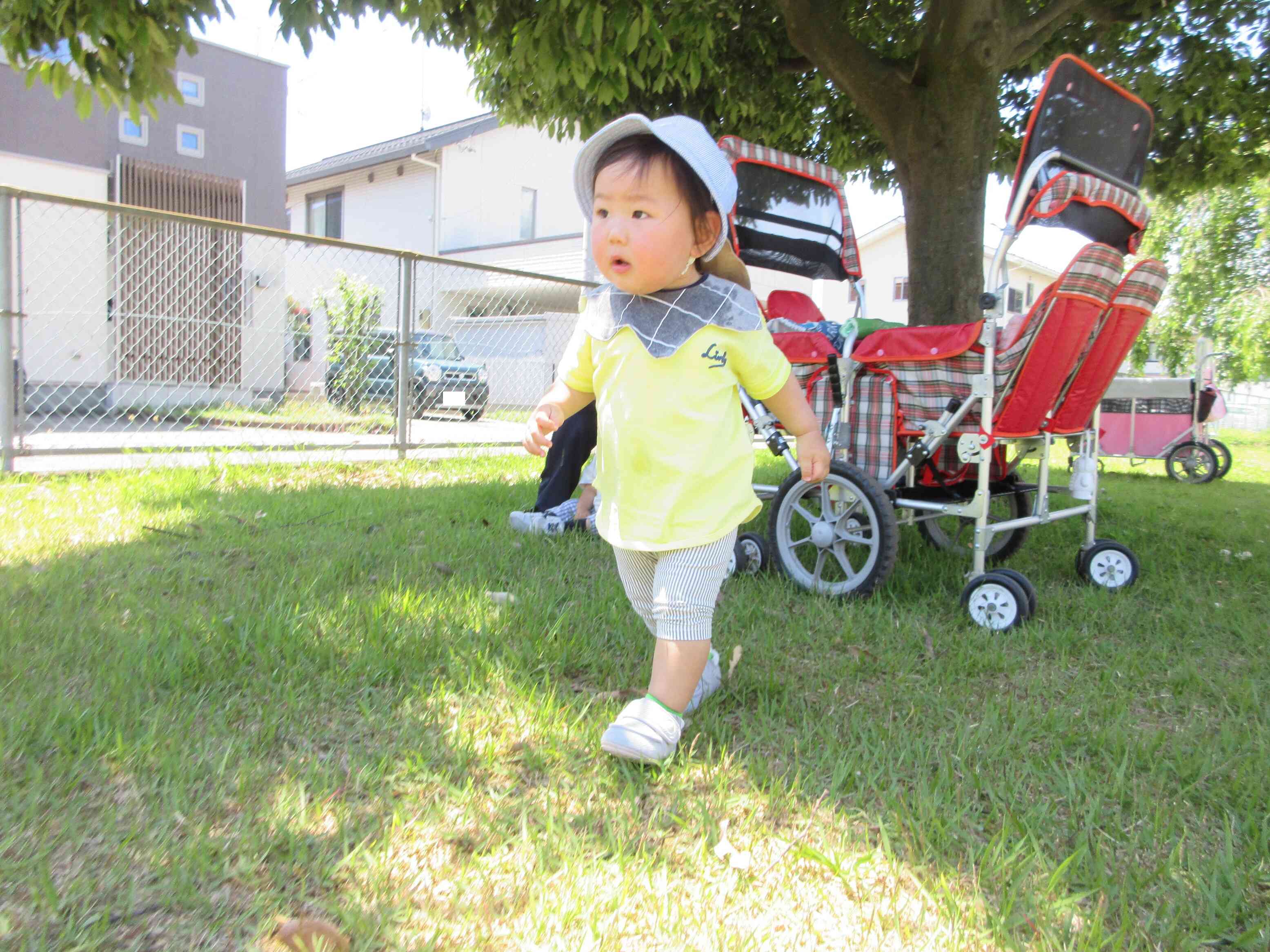 0歳児・ひよこ組【戸外活動】