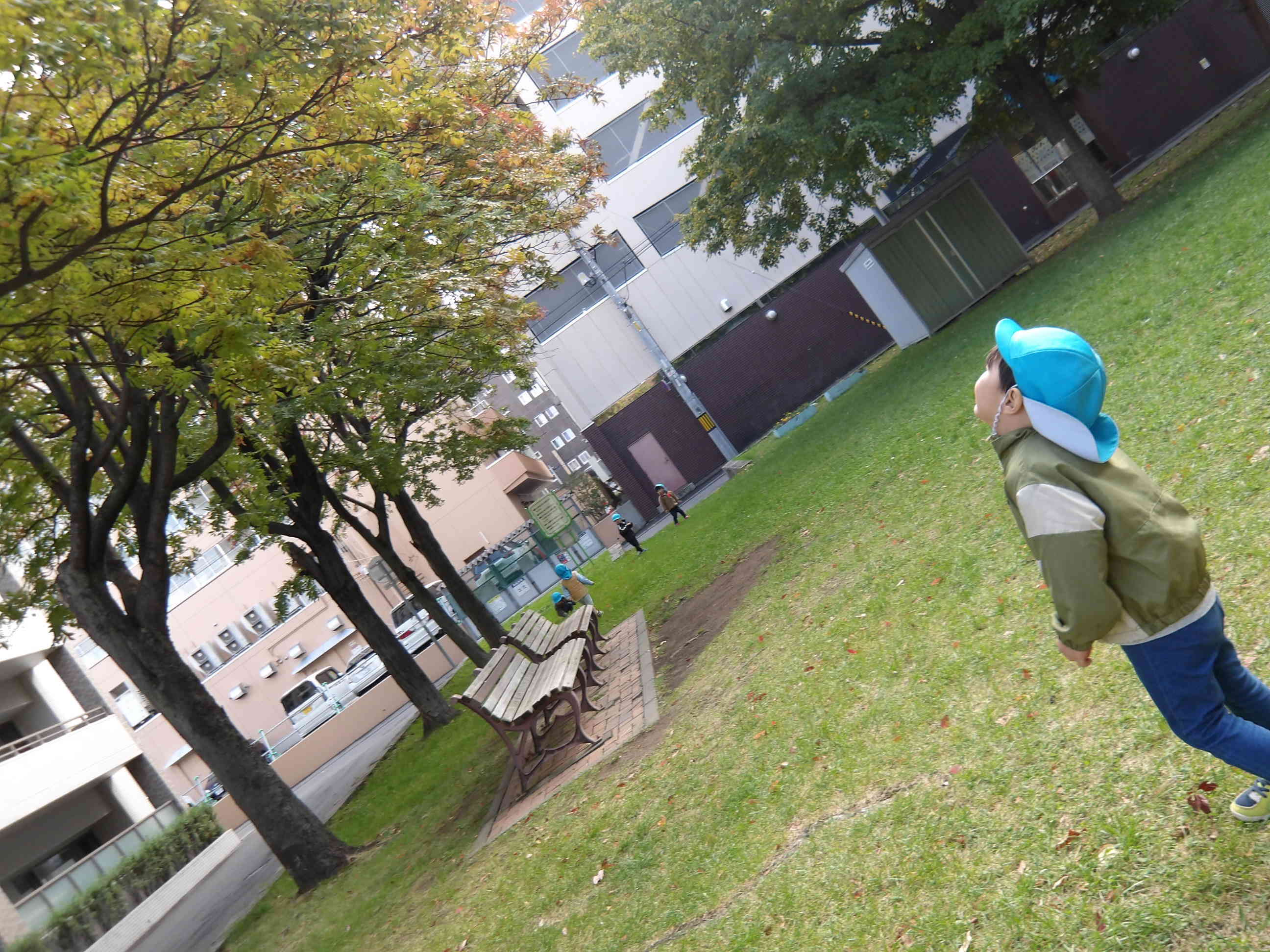 上にいっぱいあるなぁー