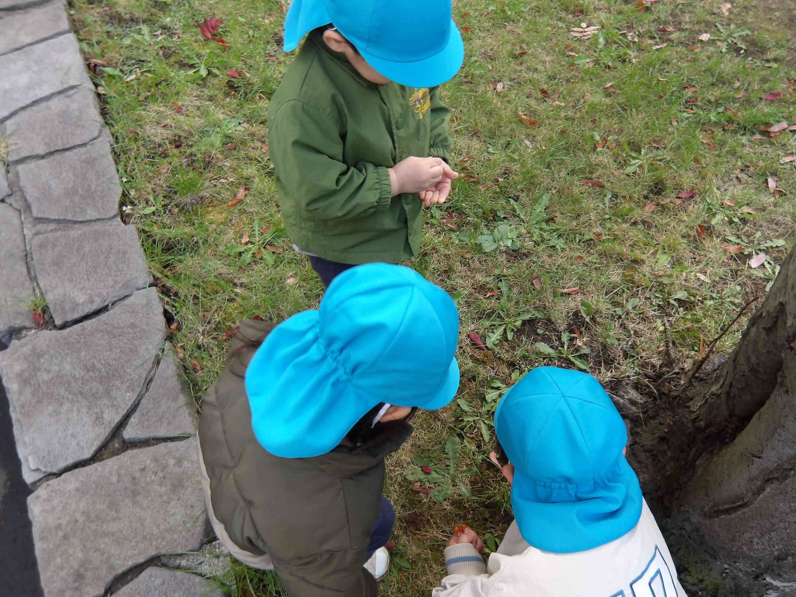 小さい秋みつけた！