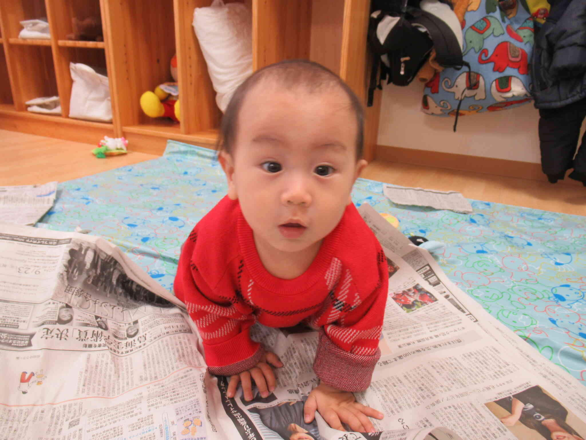 新聞紙の上を進むよー！