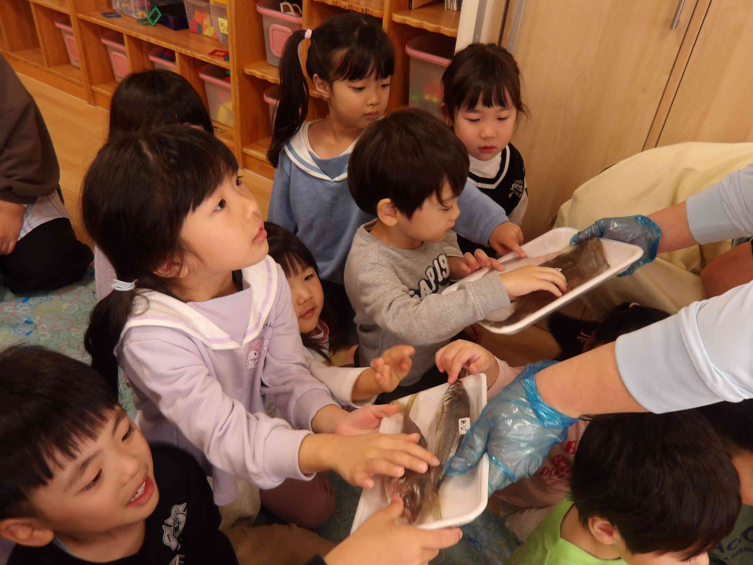 いろんなお魚みたよ