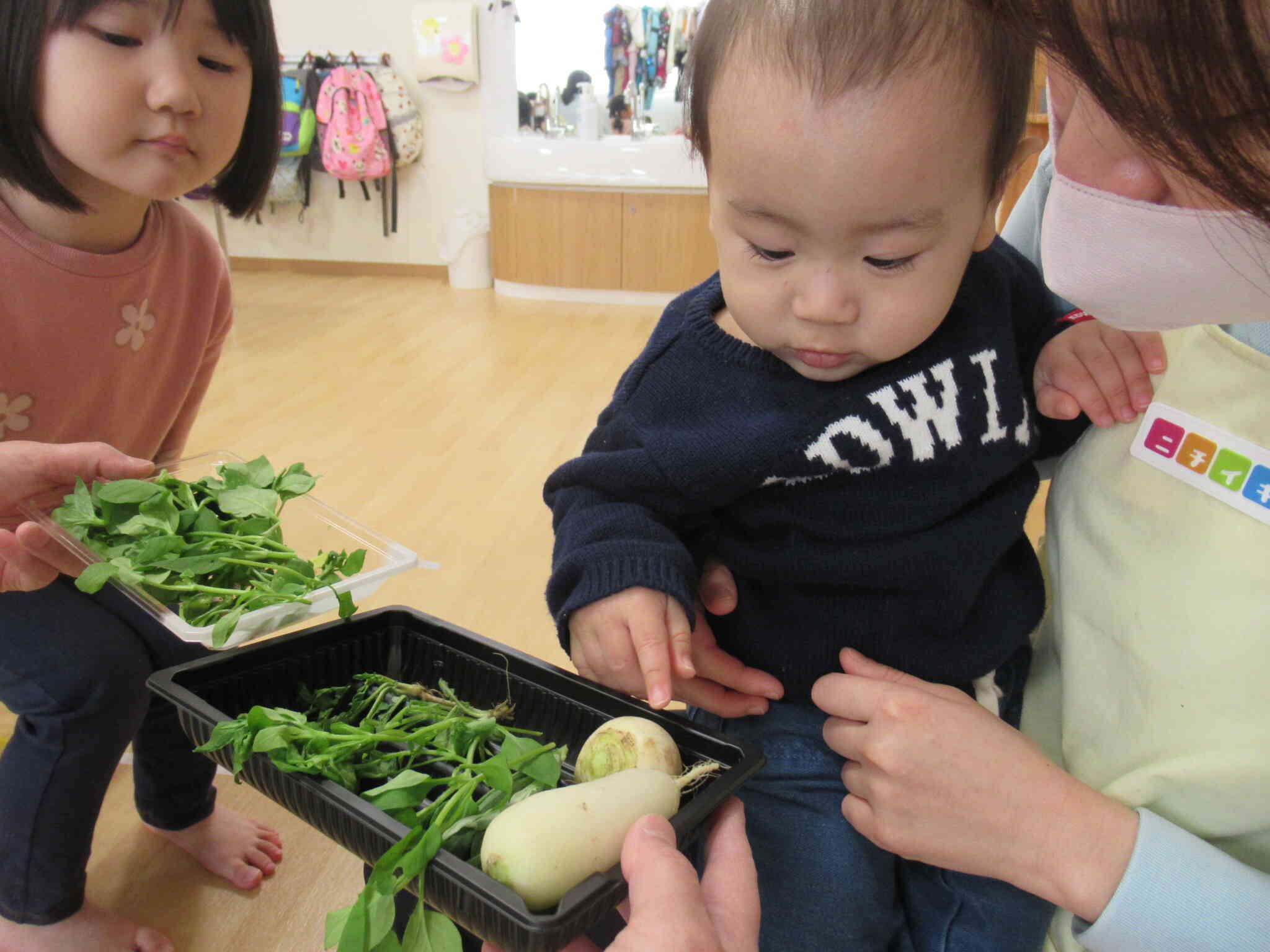 七草触ってみる？