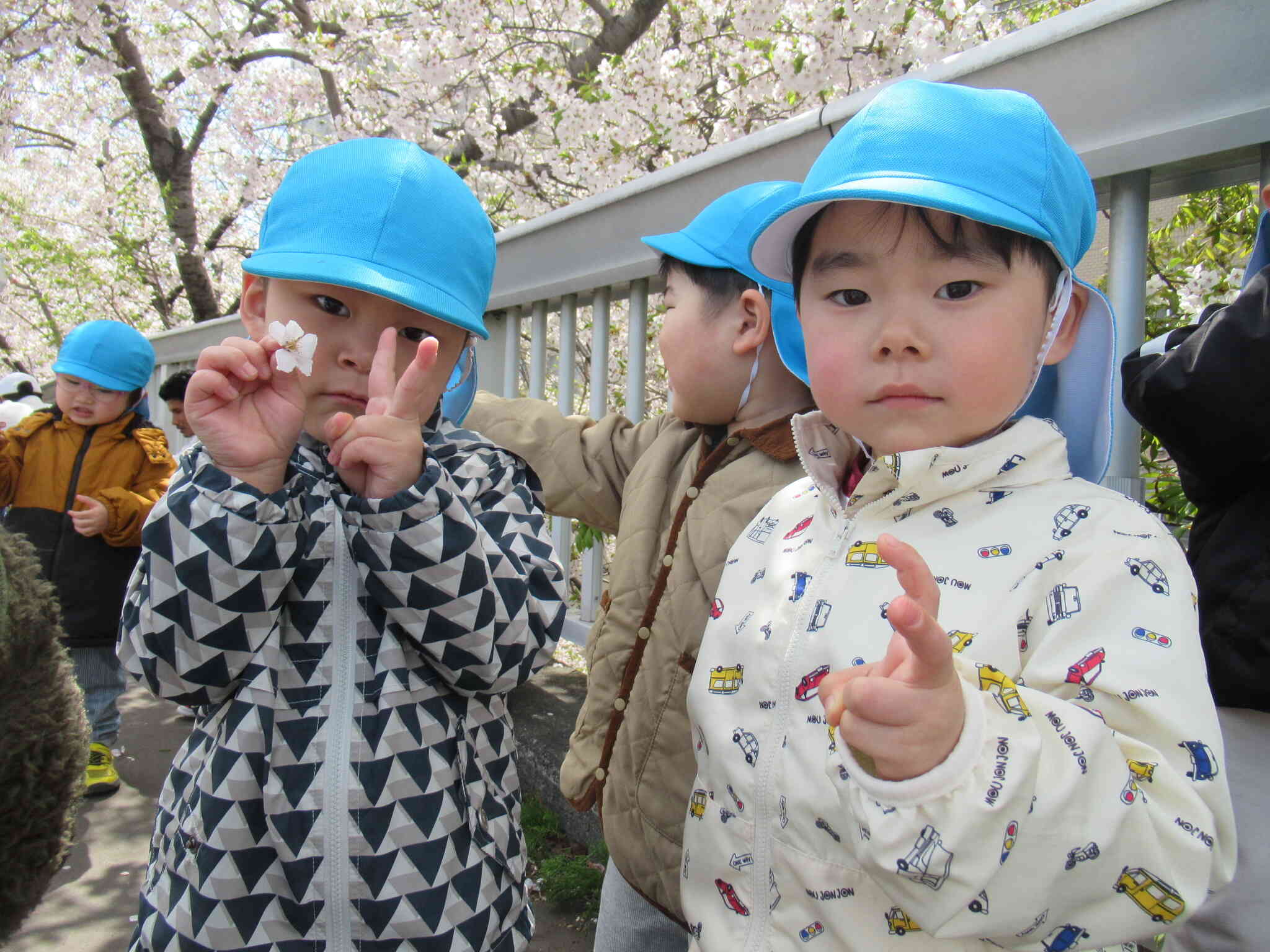 満開の桜の前でポーズ！