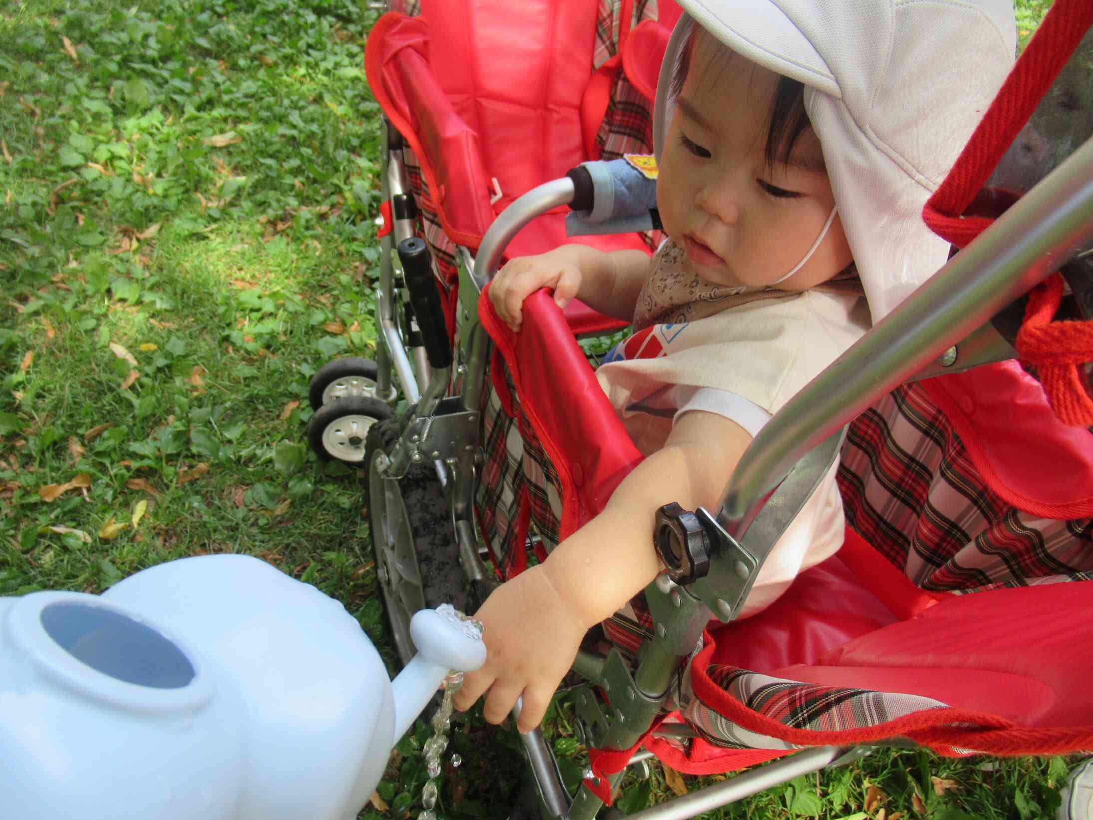 ０歳児　お散歩
