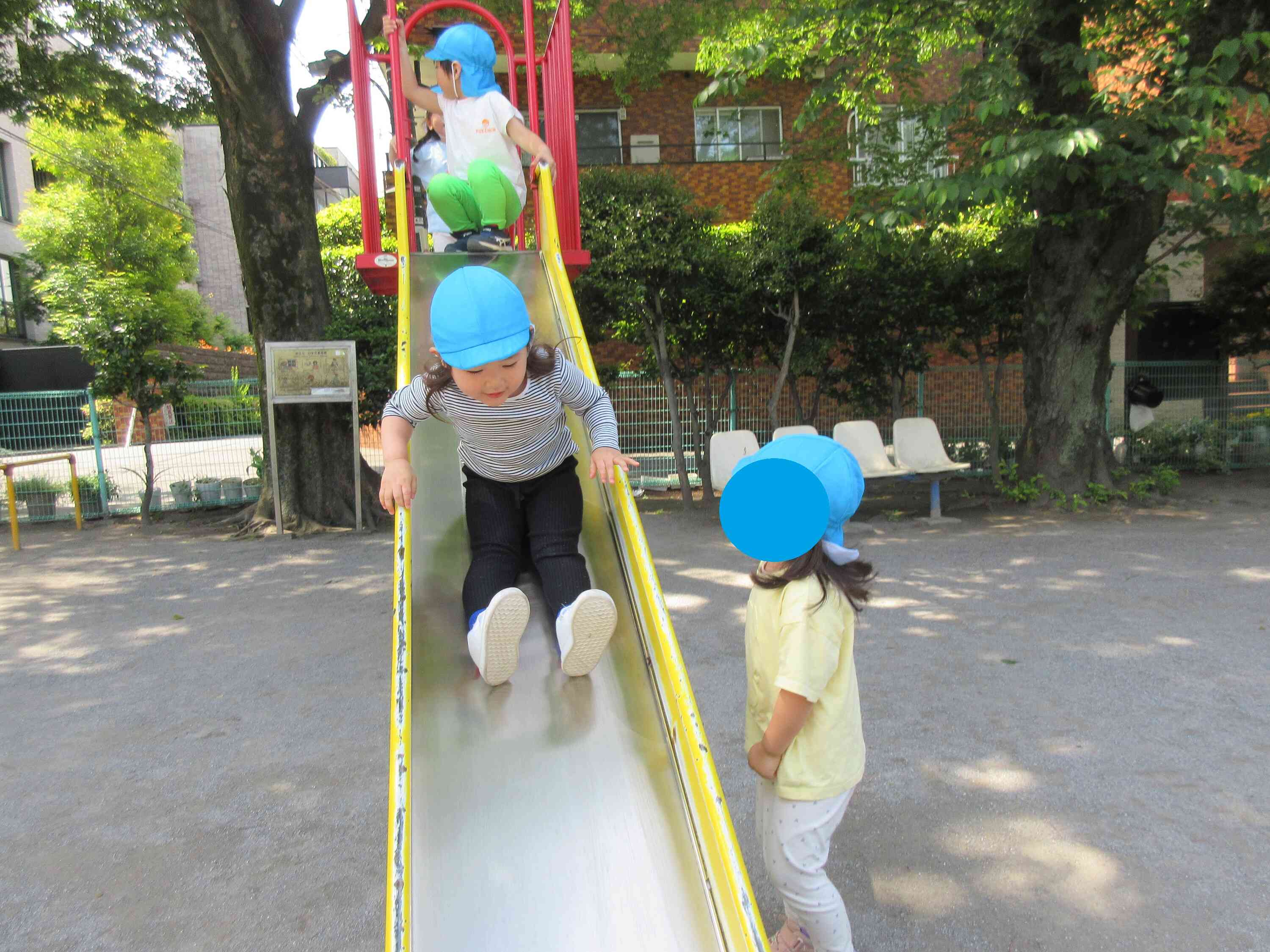 「むこうにおはなあったよ！」と教えてくれていました