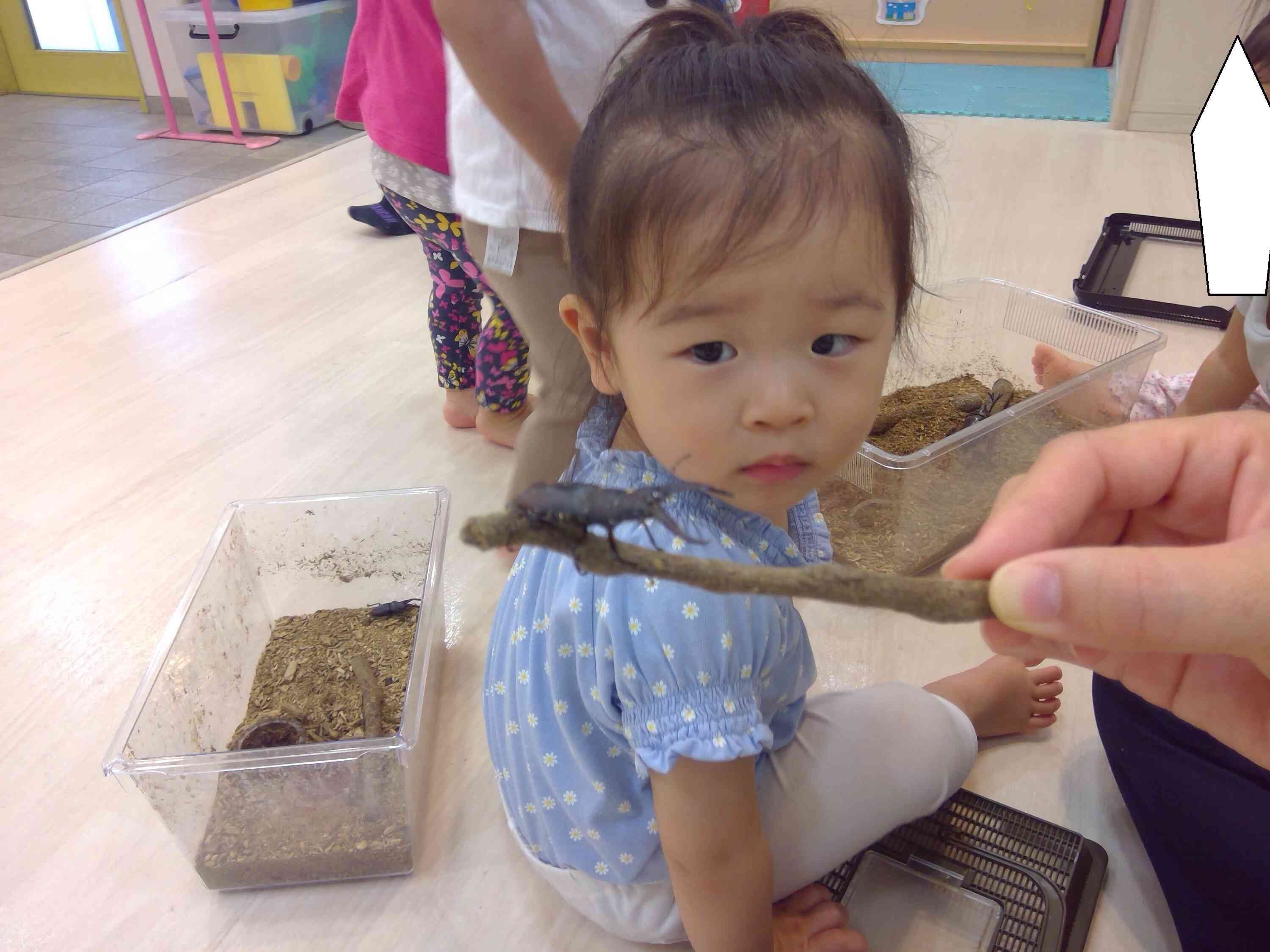 観察中!