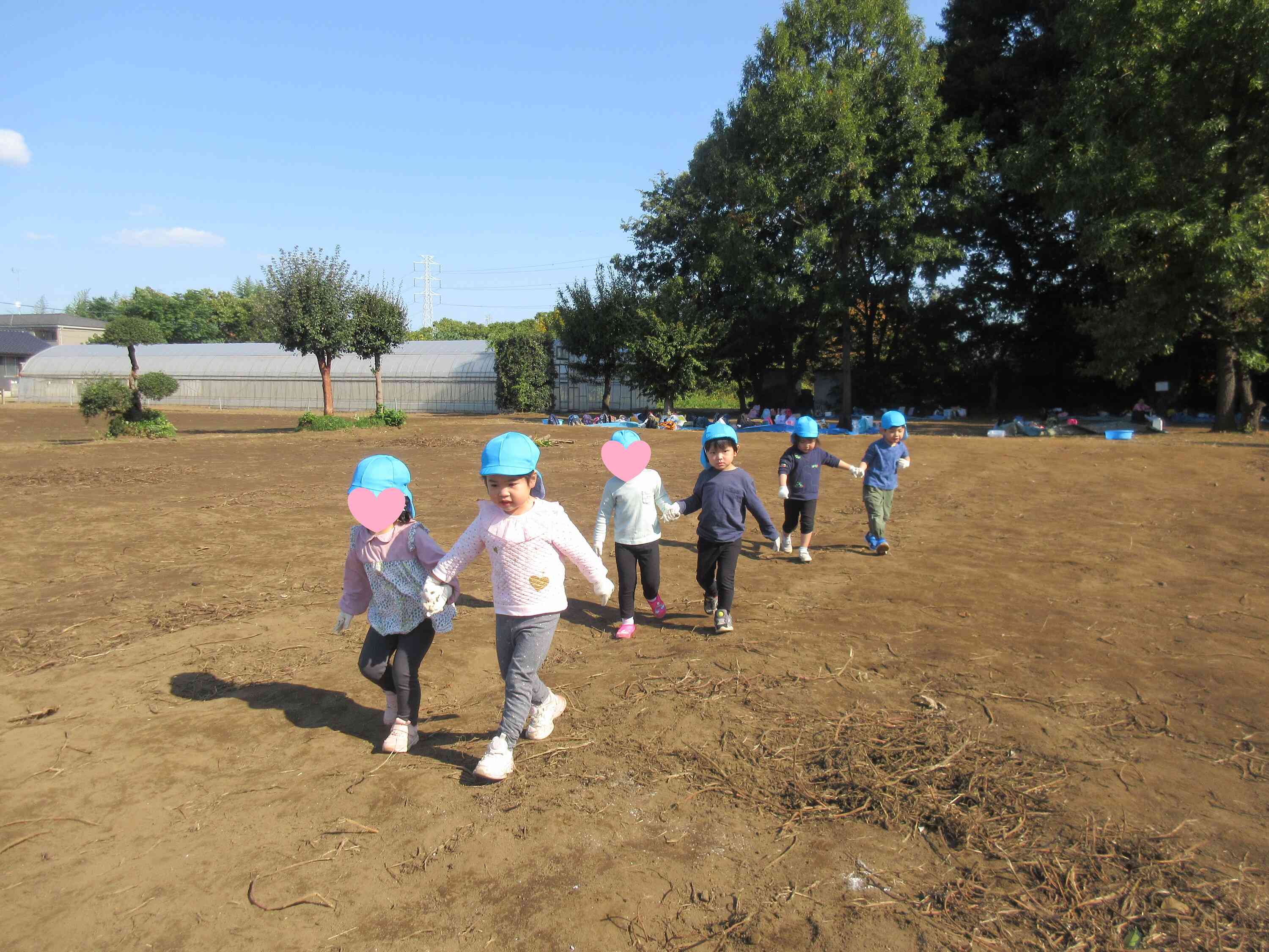 芋ほり遠足（3歳児りす組）