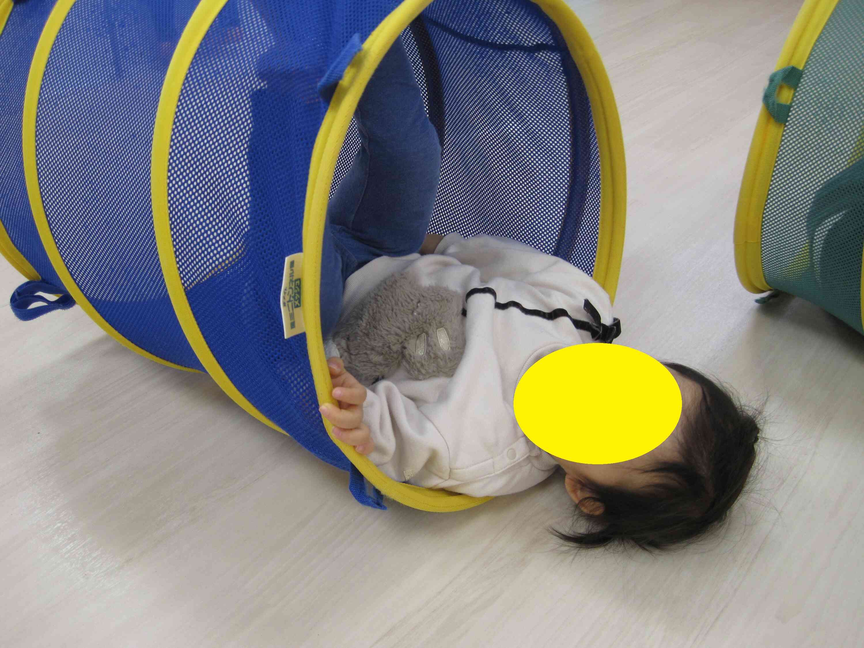 見て見て!ごろーん♪