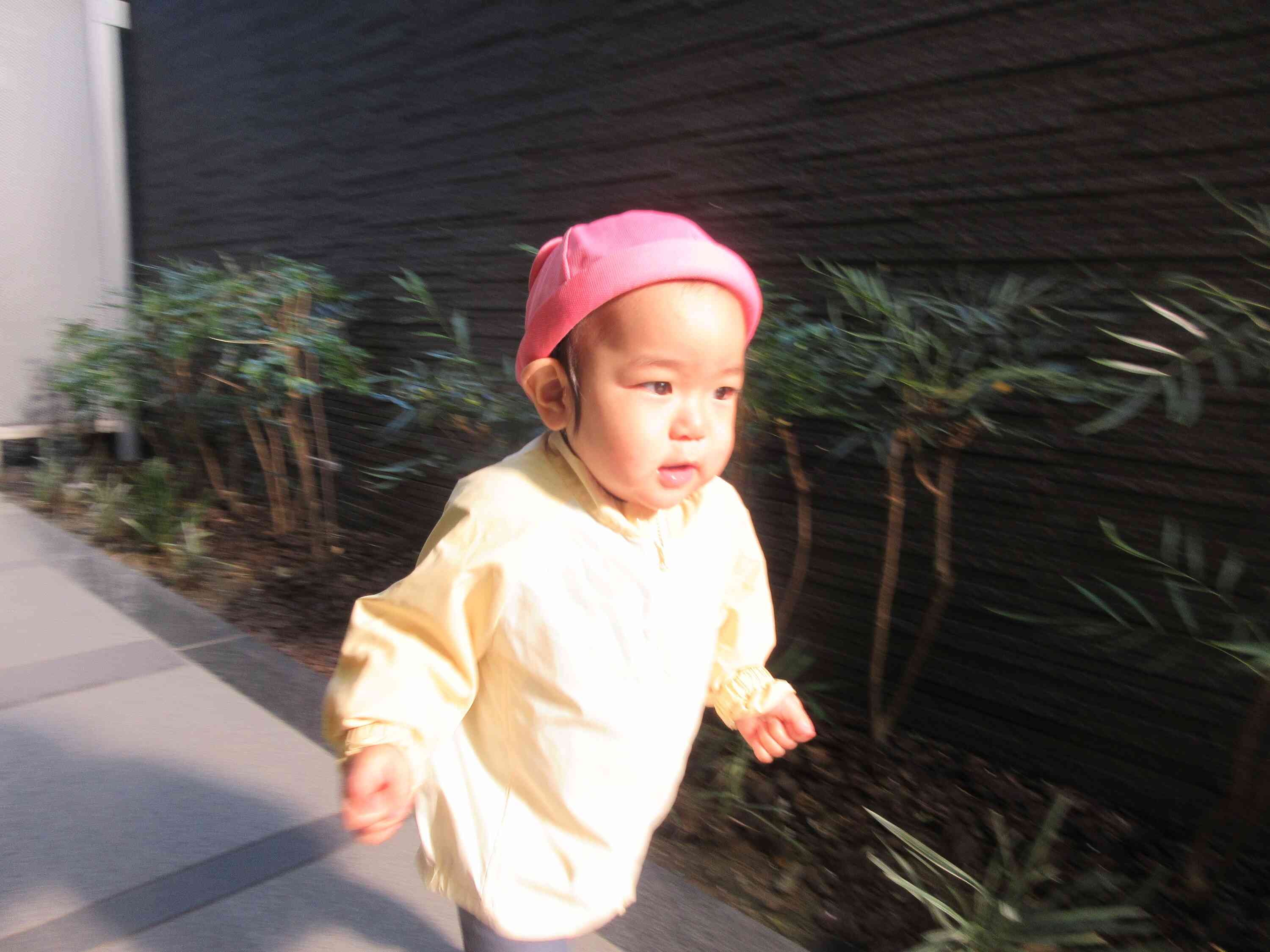 ニチイキッズ白金台保育園