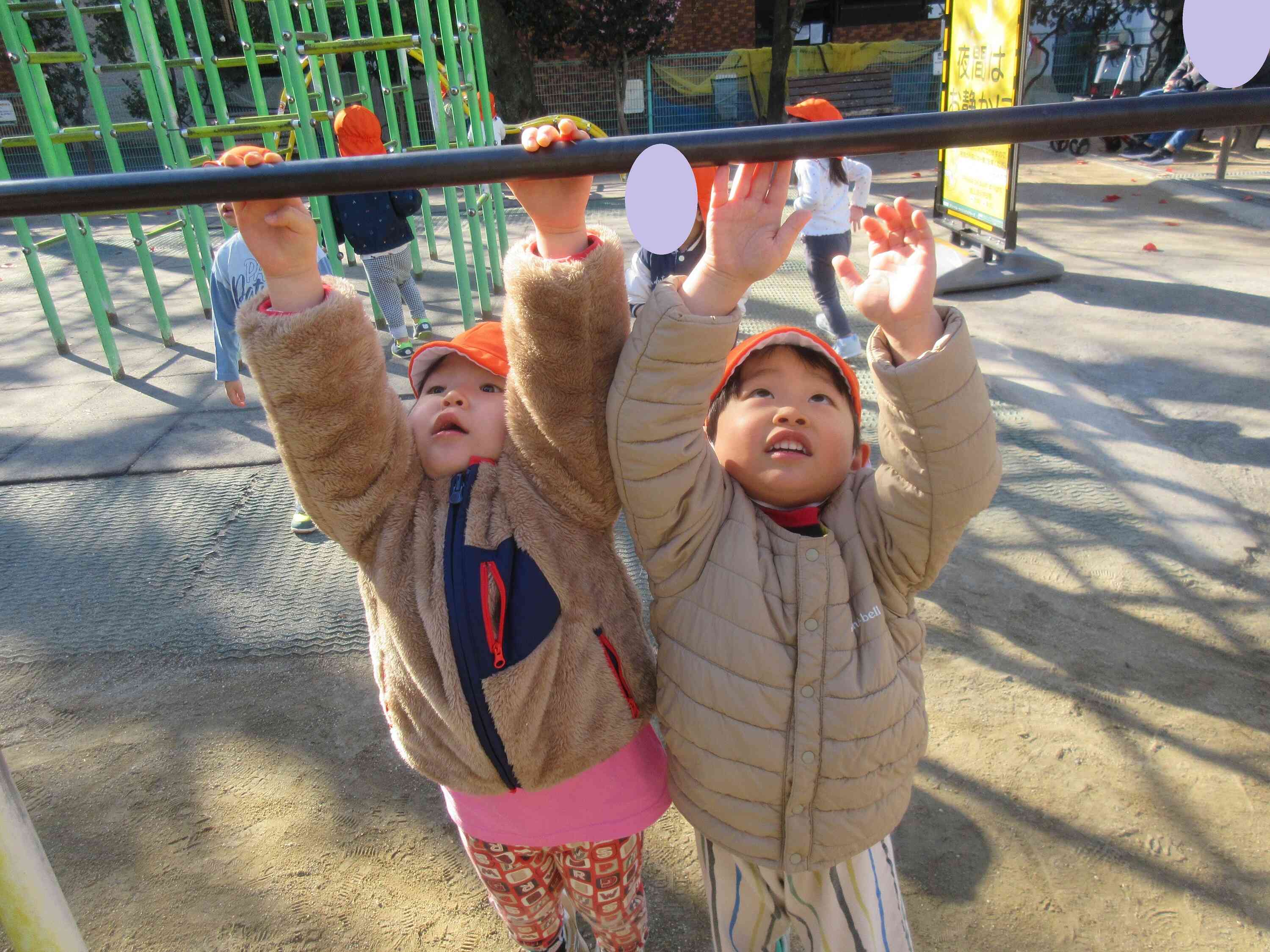 お散歩に行ったよ（2歳児あひる組）