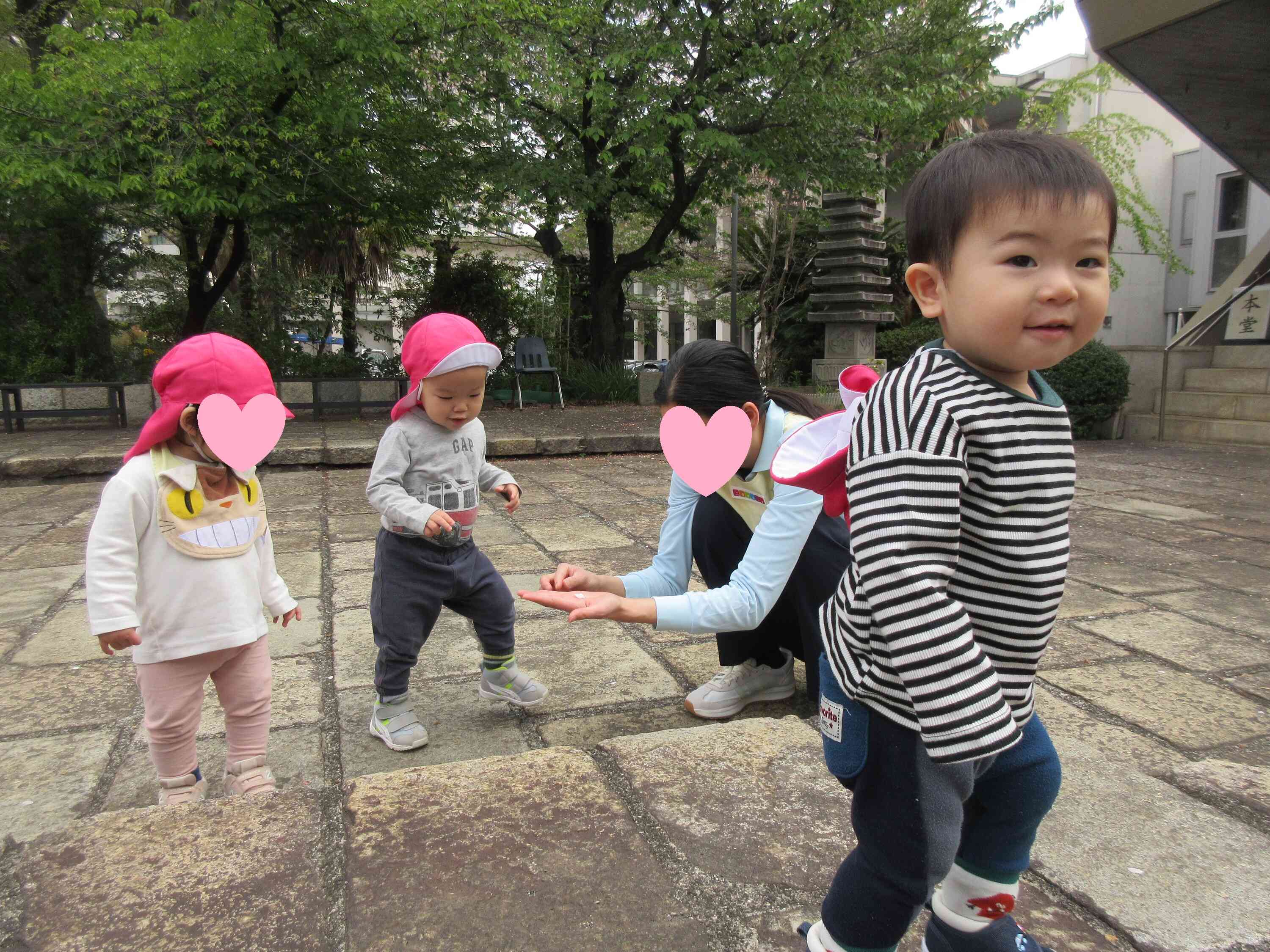 花びらあるよ～！