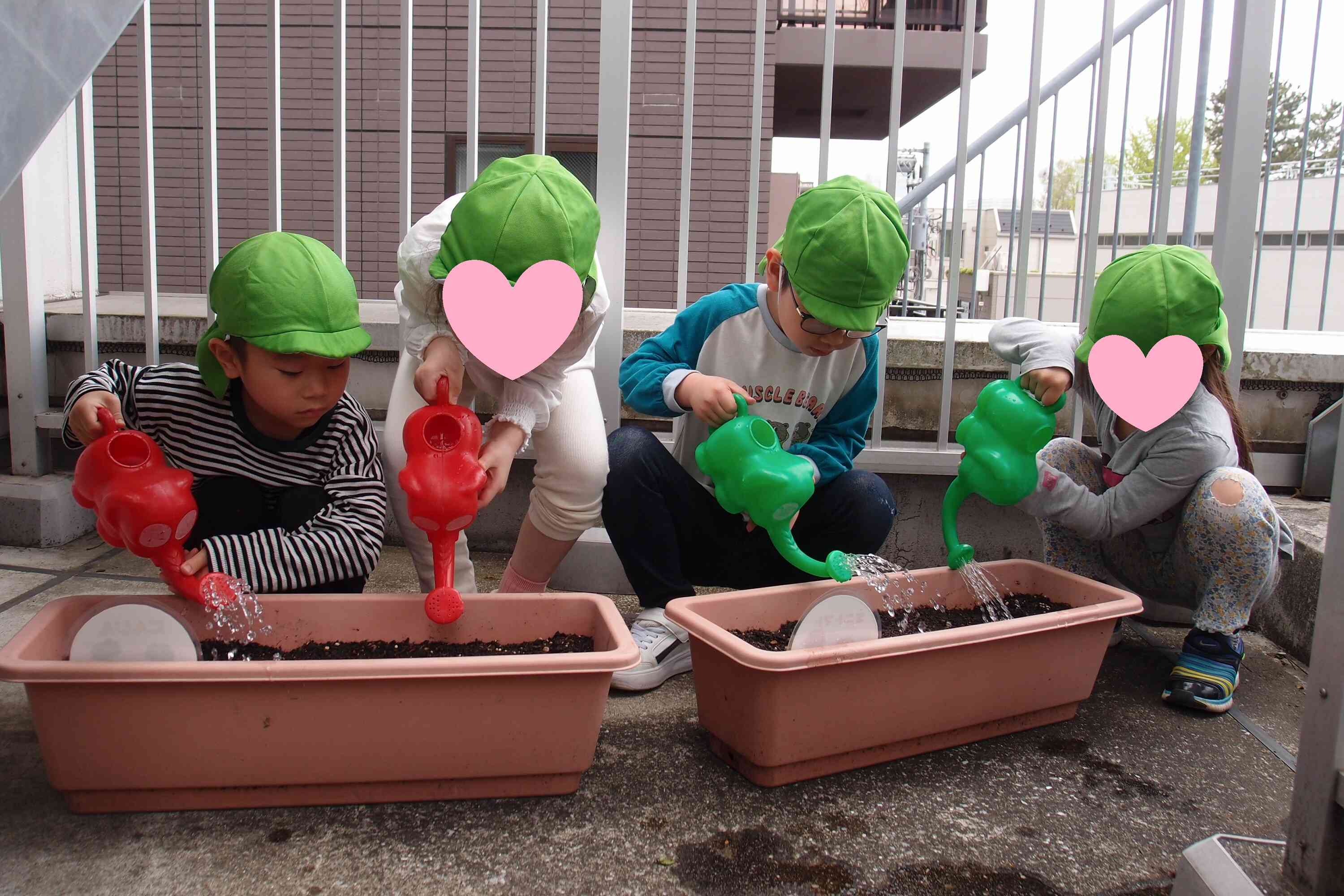 早く芽が出ますように・・・♡