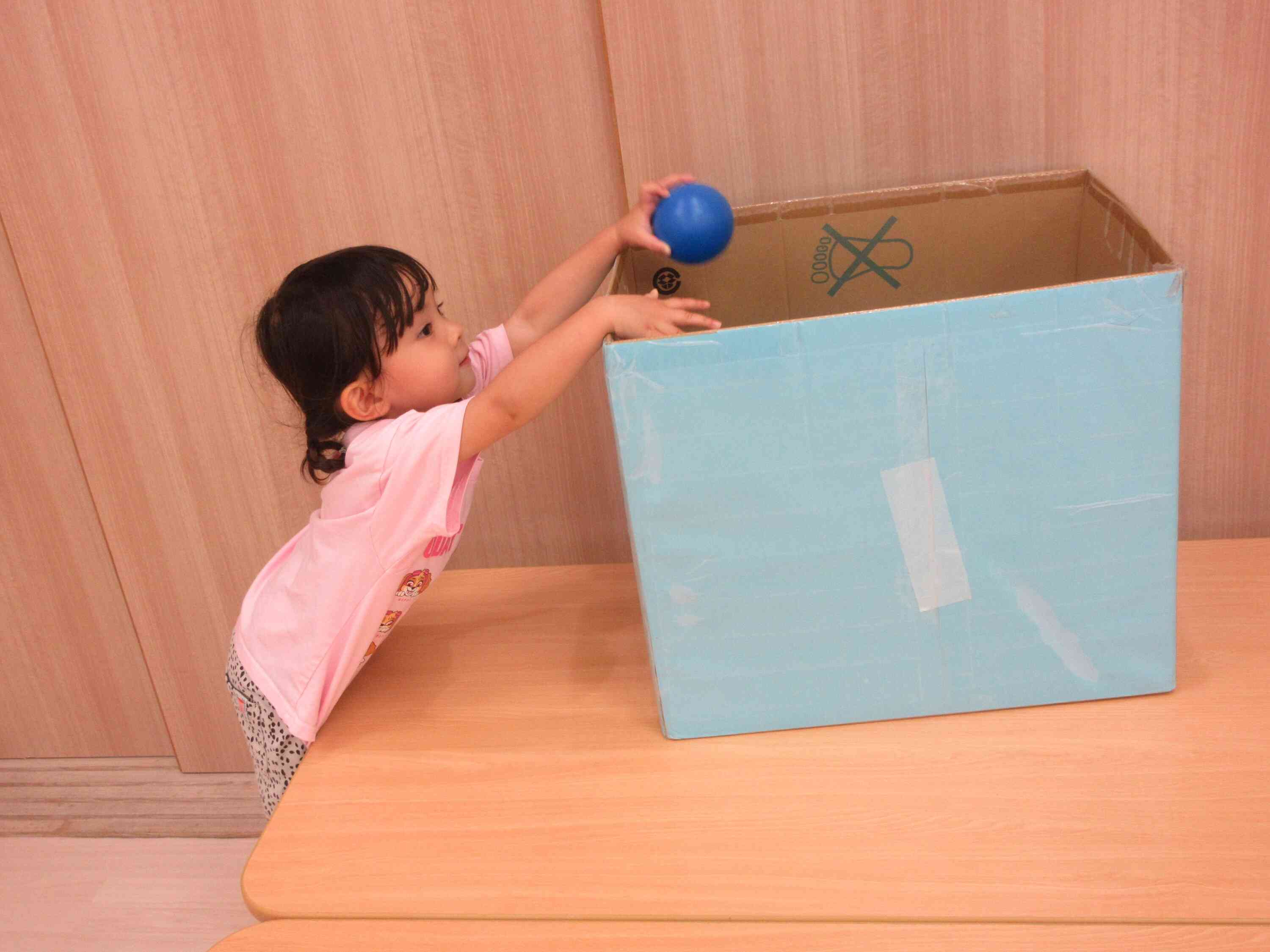 入るかな？