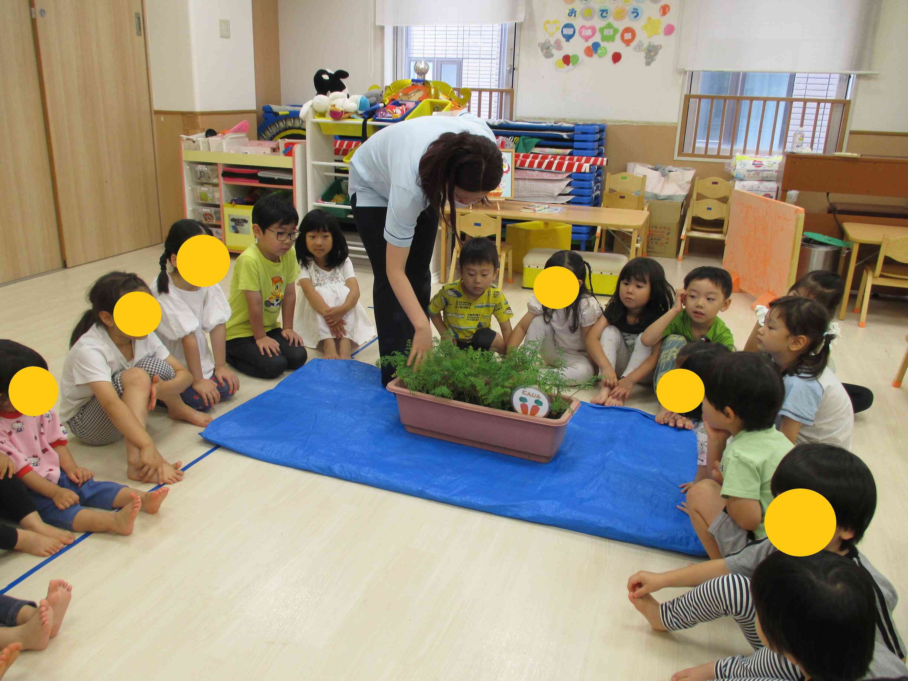 にんじんを収穫しました！（ぱんだ・きりん組 ４・５歳児）