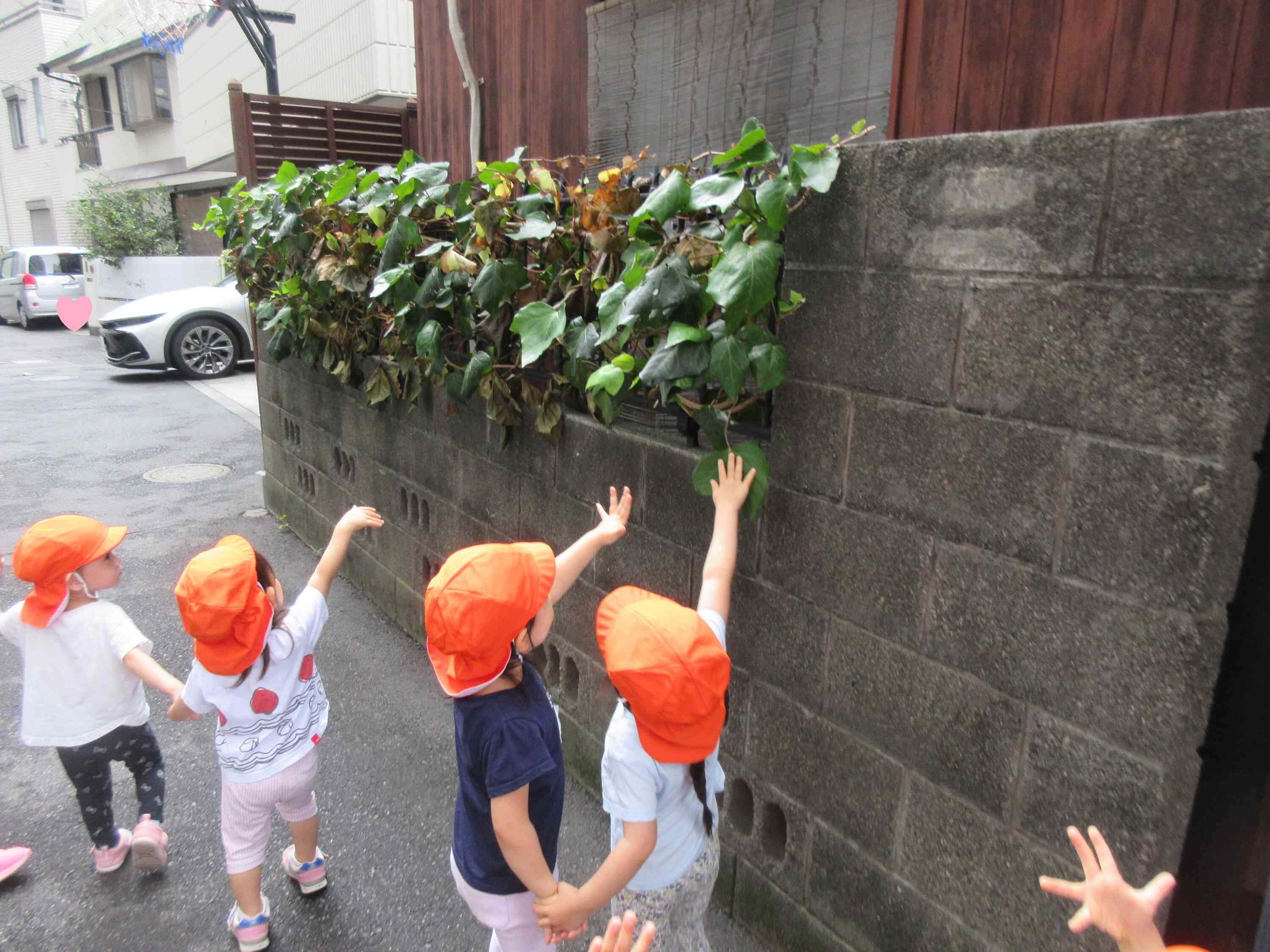 お散歩に行ったよ！（２歳児あひる組）