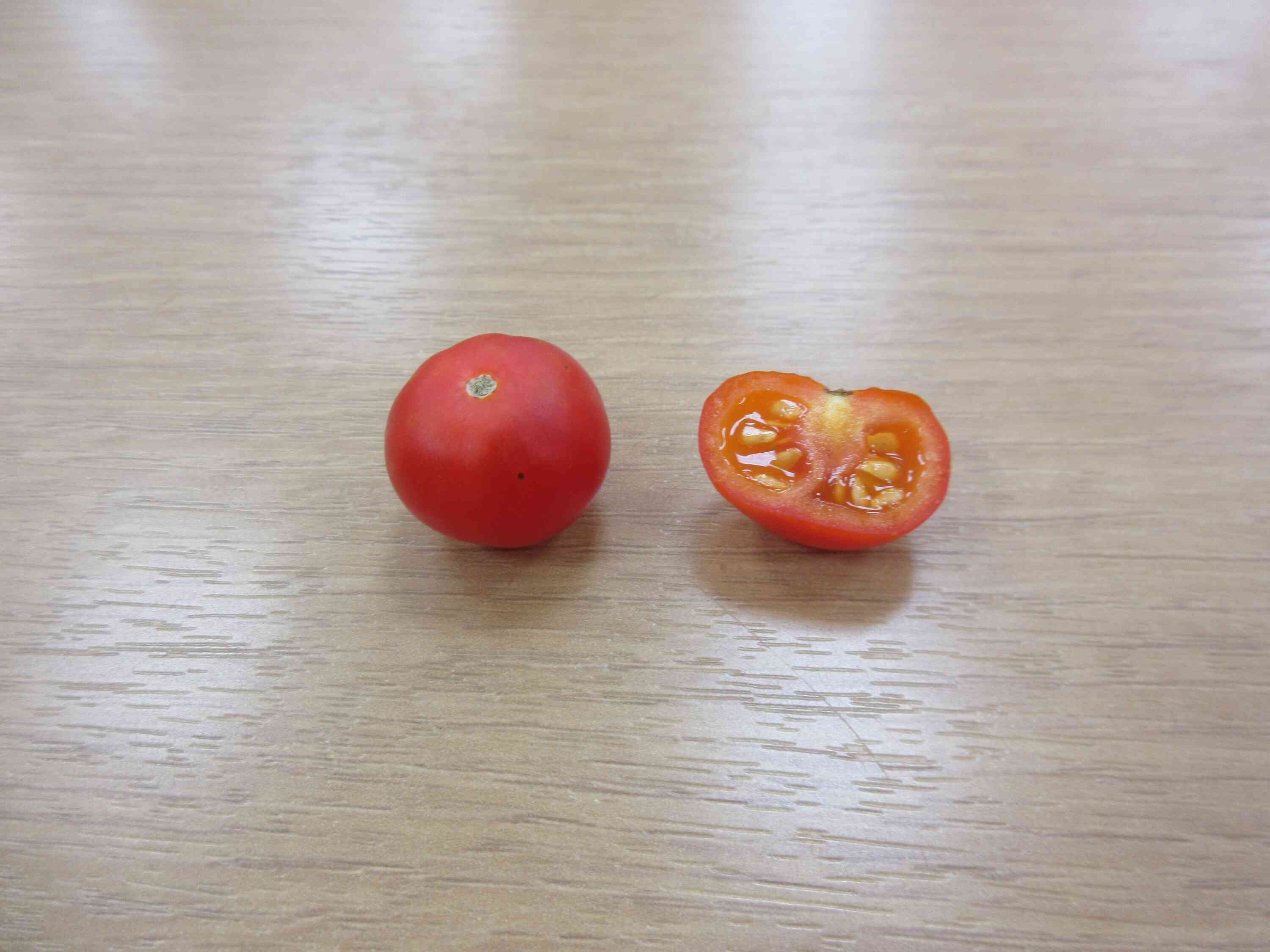 切ったら種が見えました。
