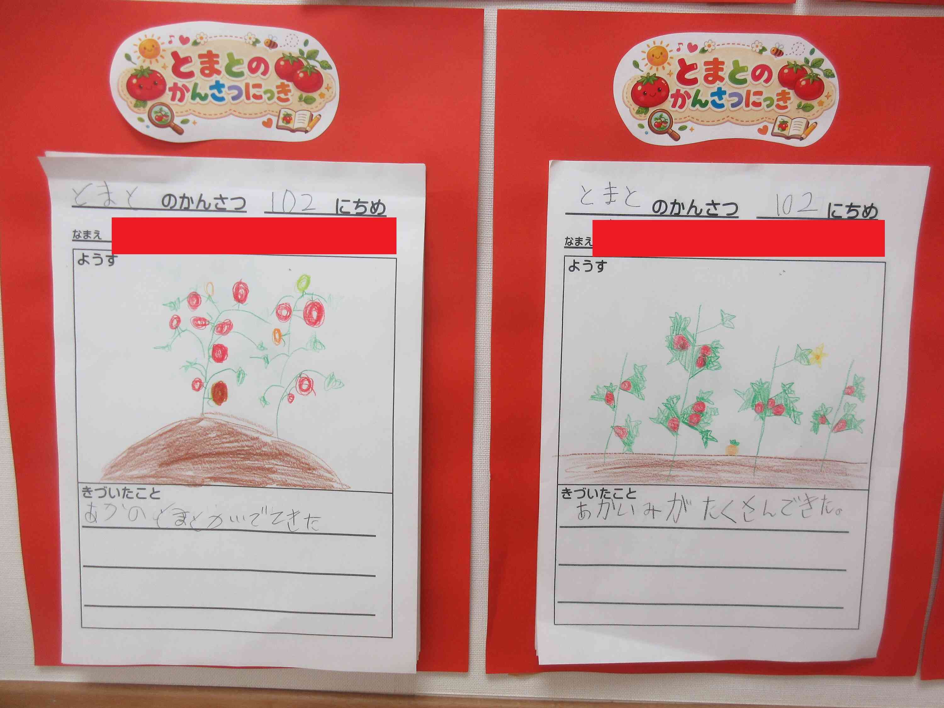 きりん組（5歳児クラス）は観察日記もつけました。