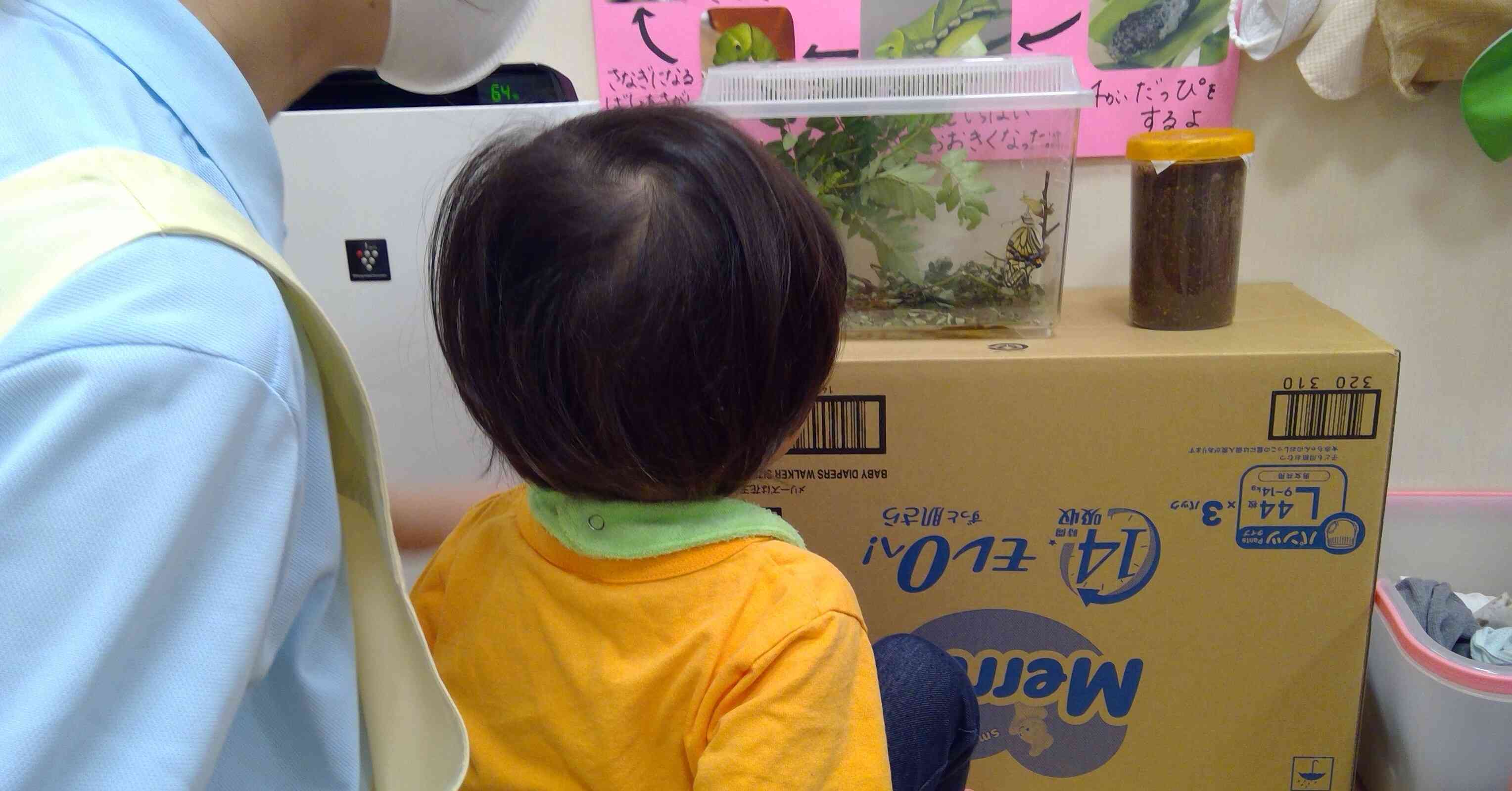 ちょうちょになったよ