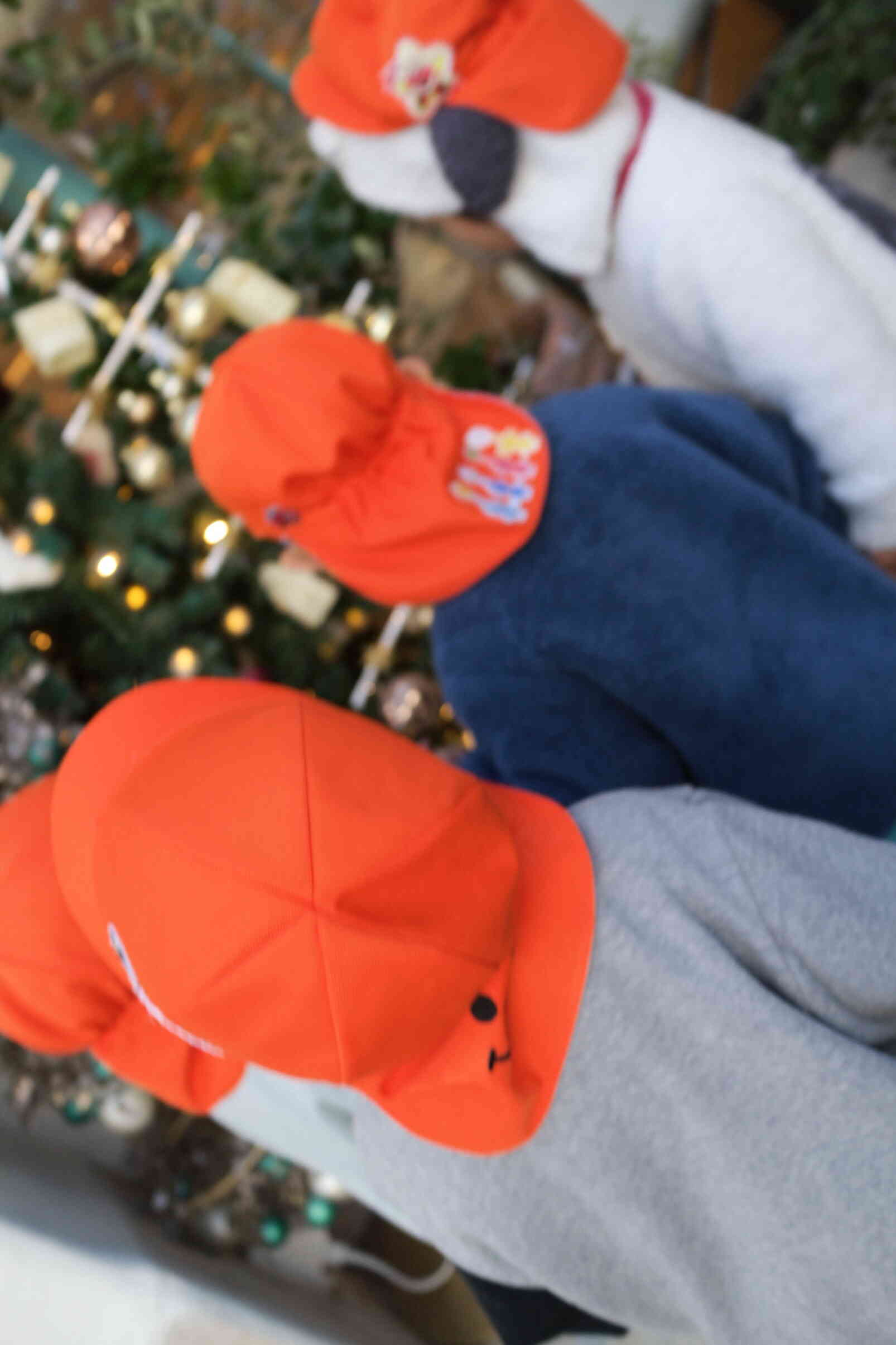 街の中にあるクリスマスツリーを見つけたよ!